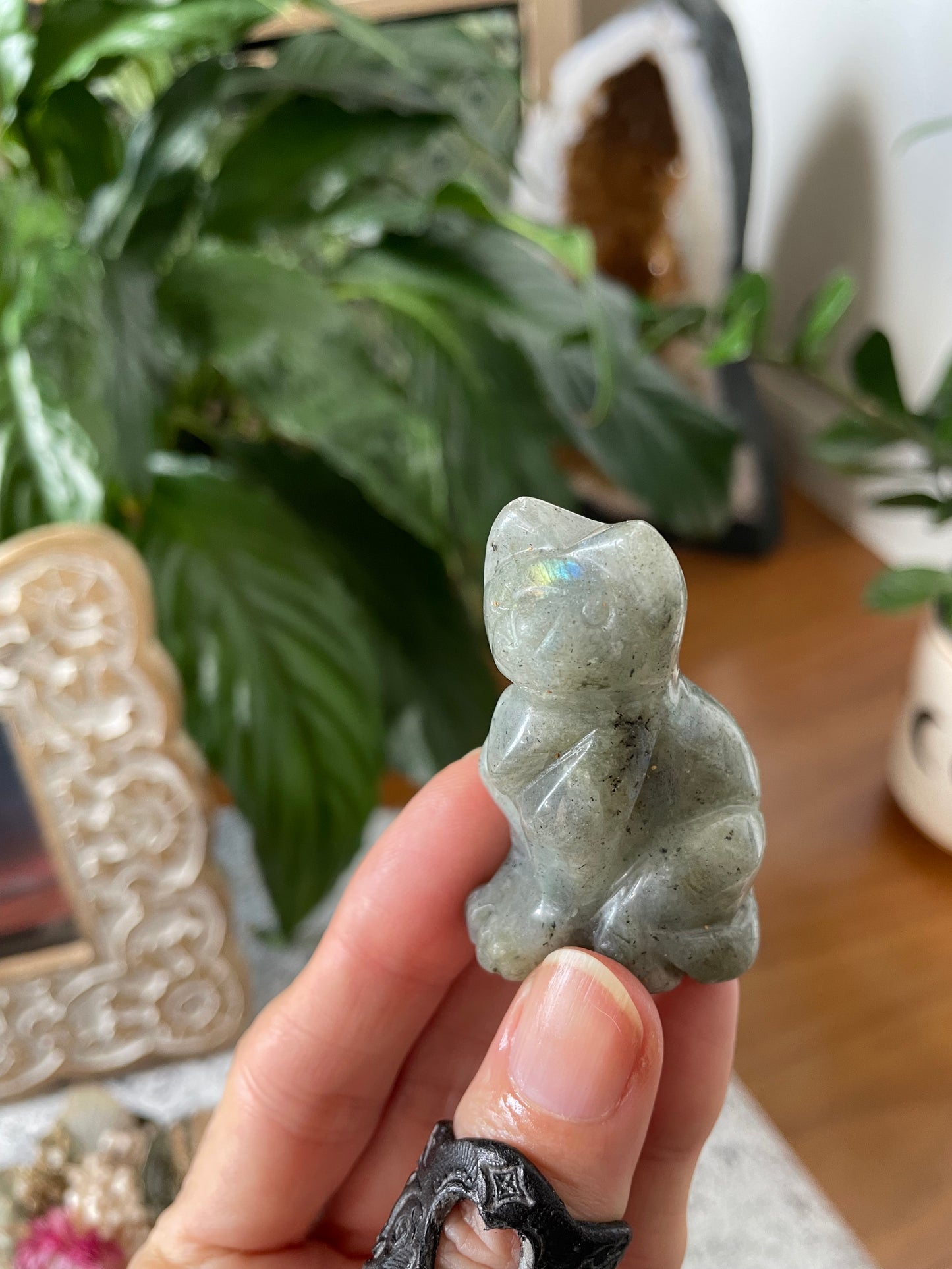 Labradorite Cat