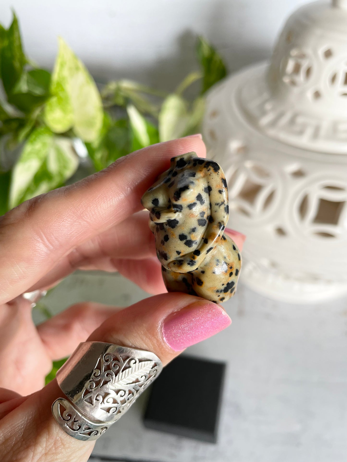 Fertility Goddess ~ Dalmatian Jasper