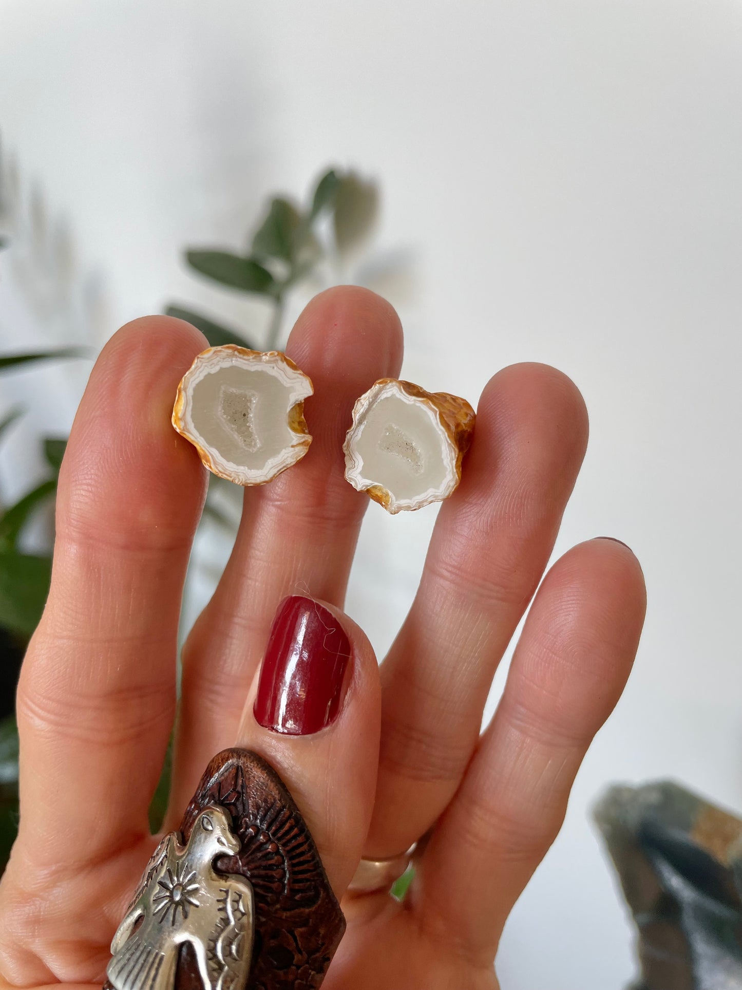 Baby Quartz Geode ~ Redcliffe Peninsula