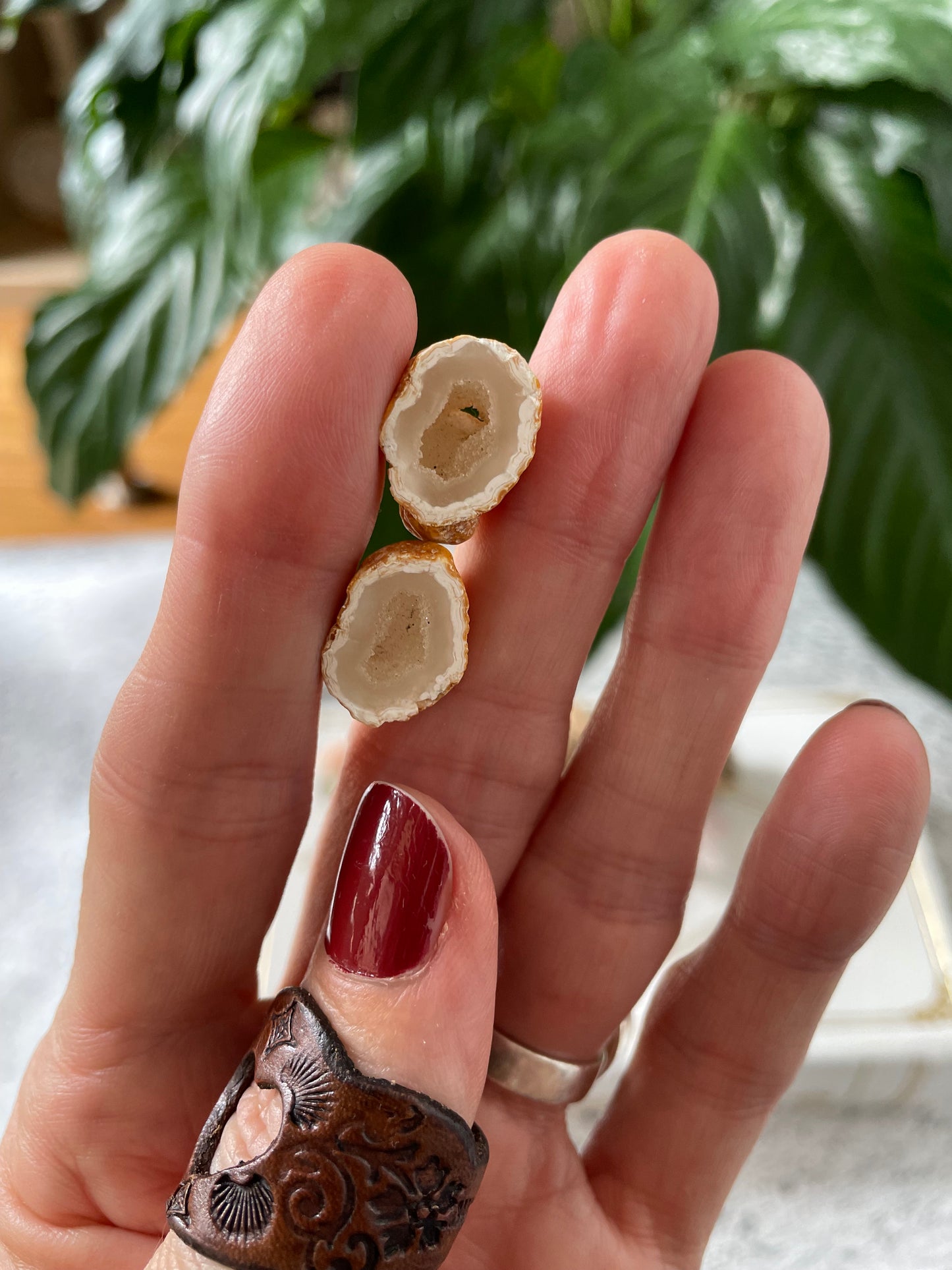 Baby Quartz Geode ~ Redcliffe Peninsula