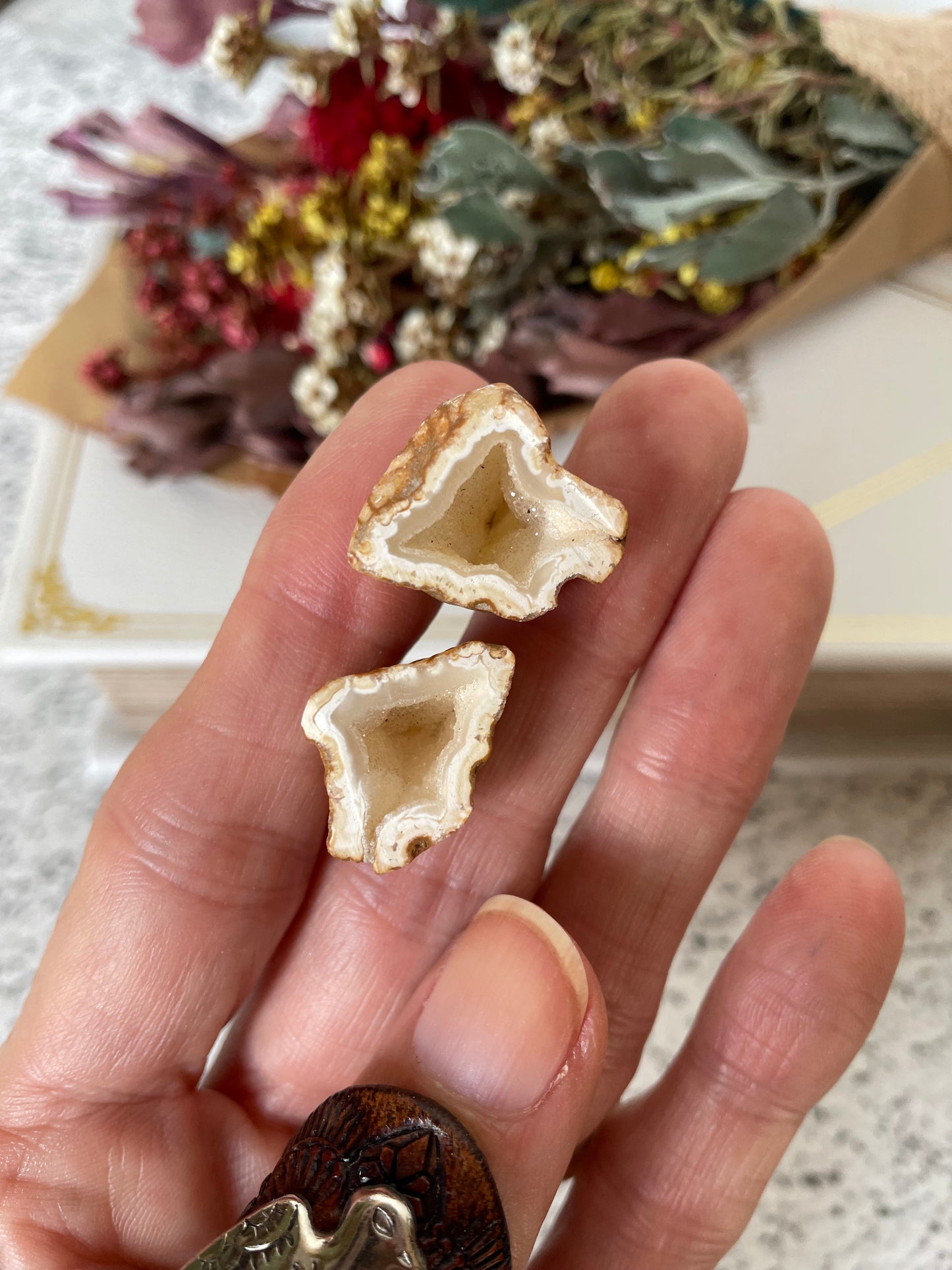 Baby Quartz Geode ~ Redcliffe Peninsula