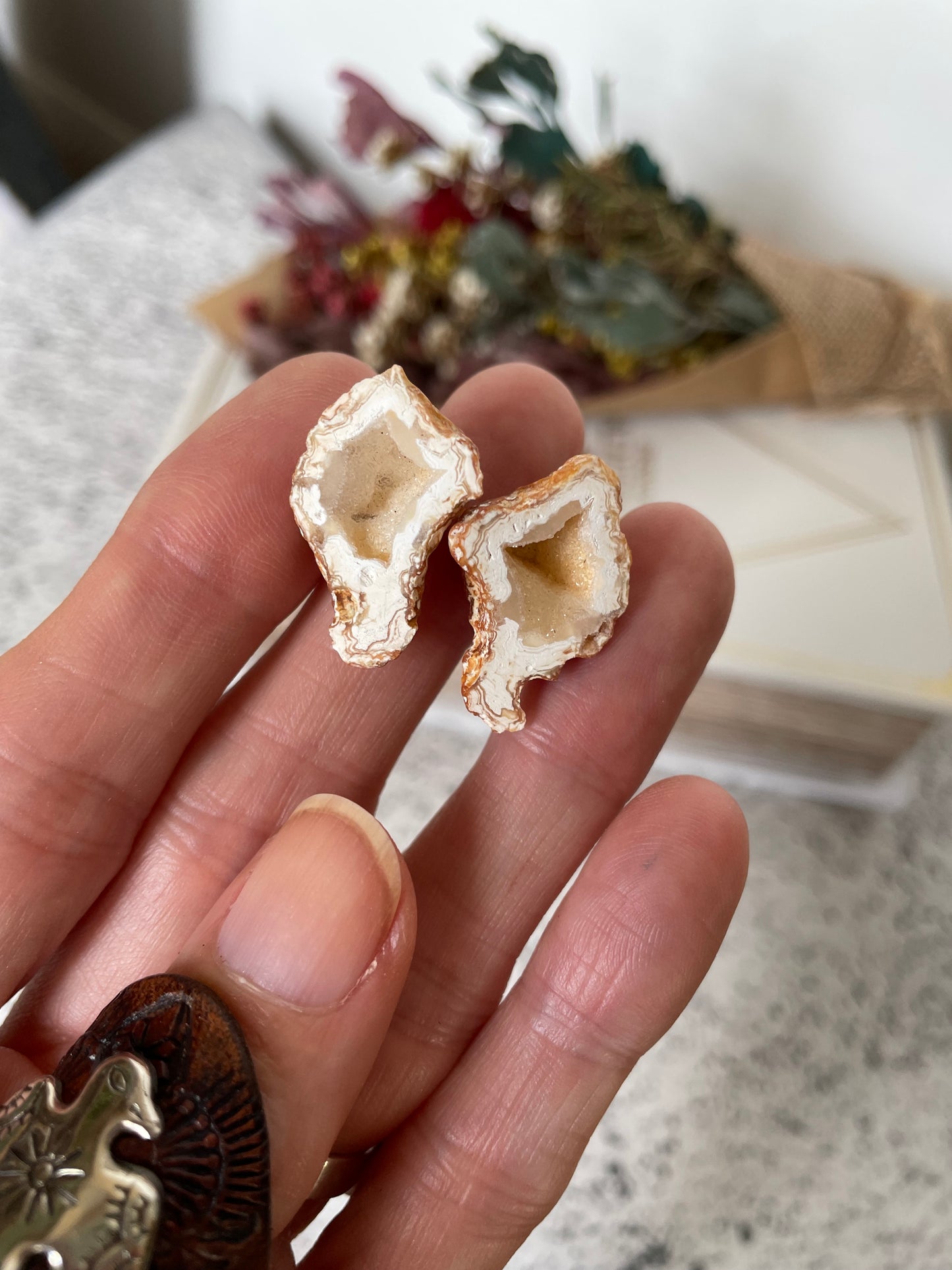 Baby Quartz Geode ~ Redcliffe Peninsula