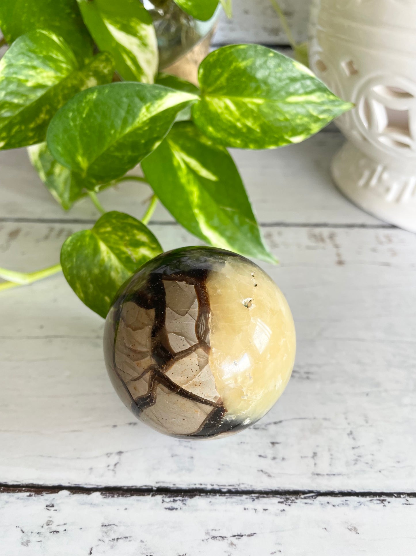 Septarian Sphere Includes Wooden Holder