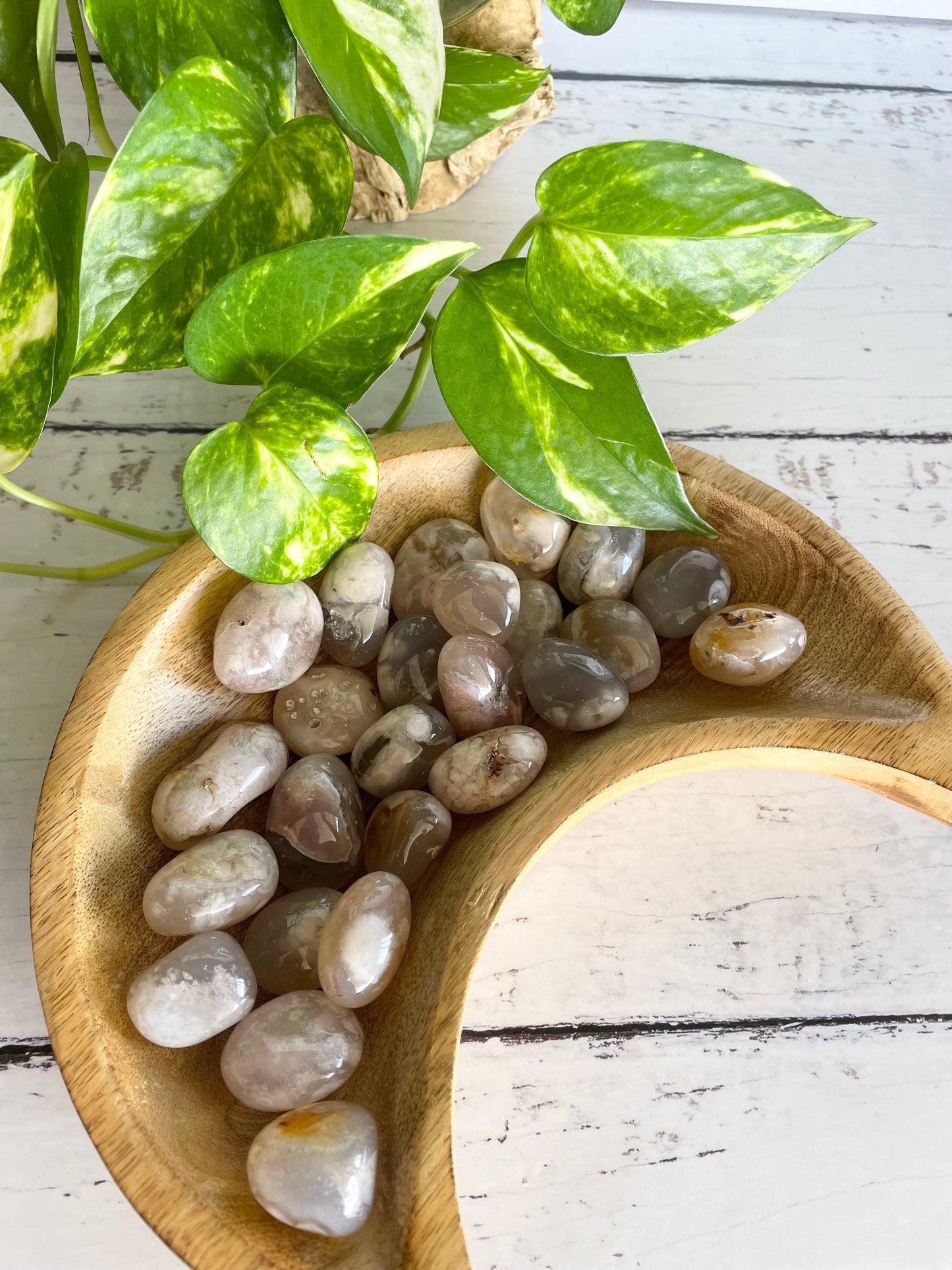 Flower Agate Tumble Stones