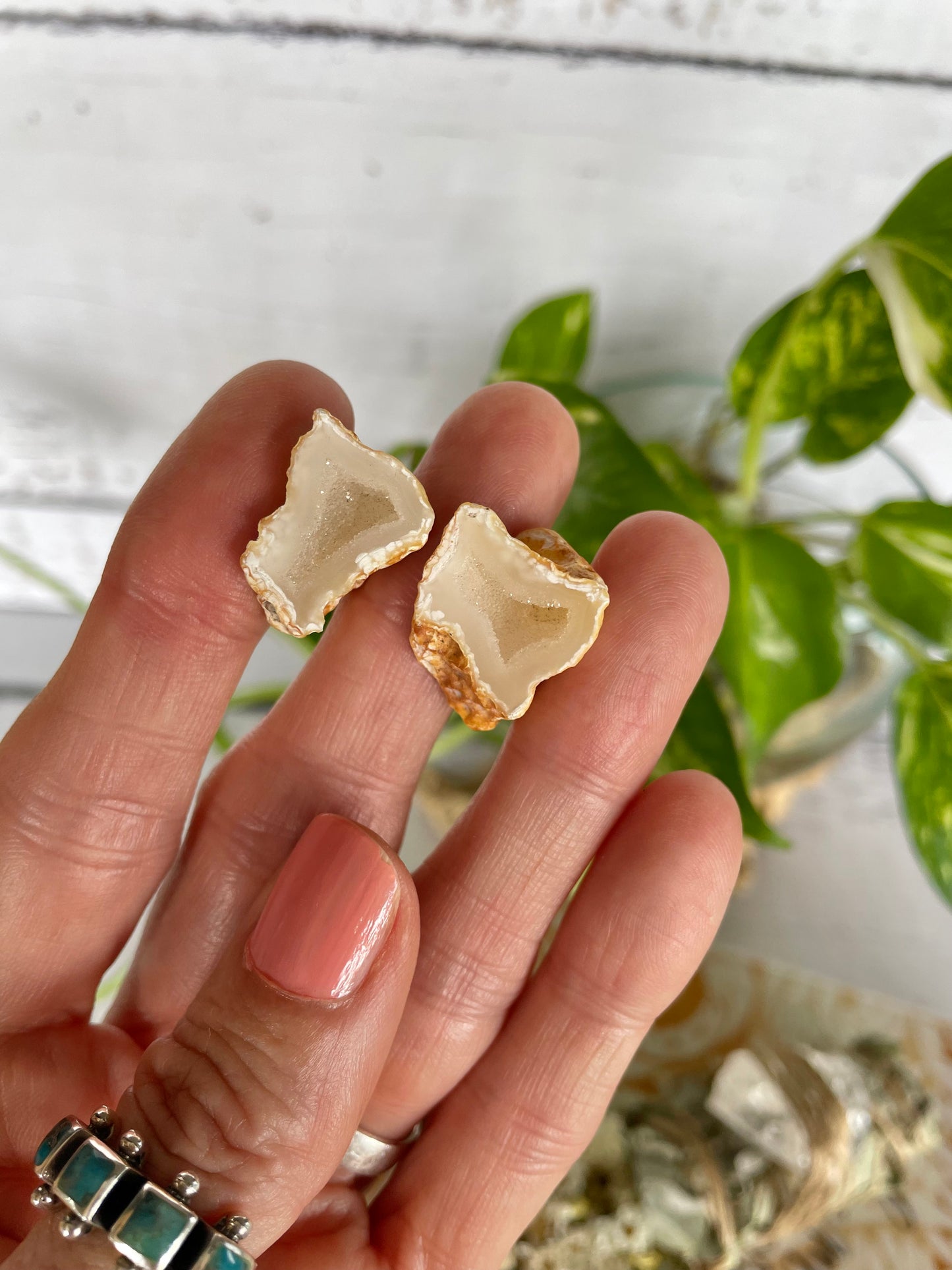 Baby Quartz Geode ~ Redcliffe Peninsula