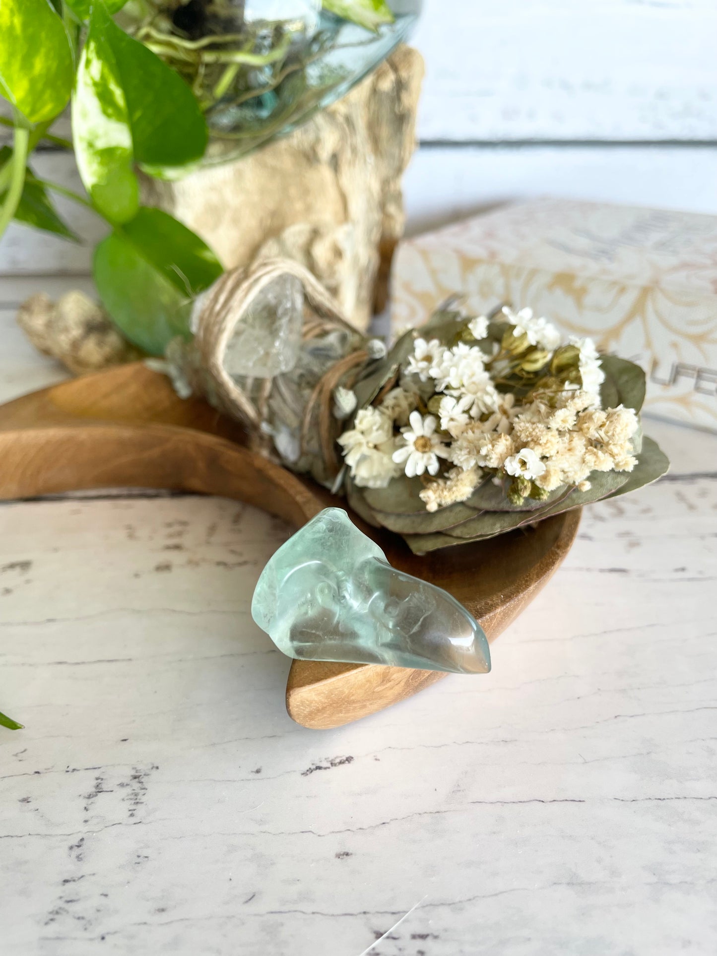 Raven Skull ~ Green Fluorite