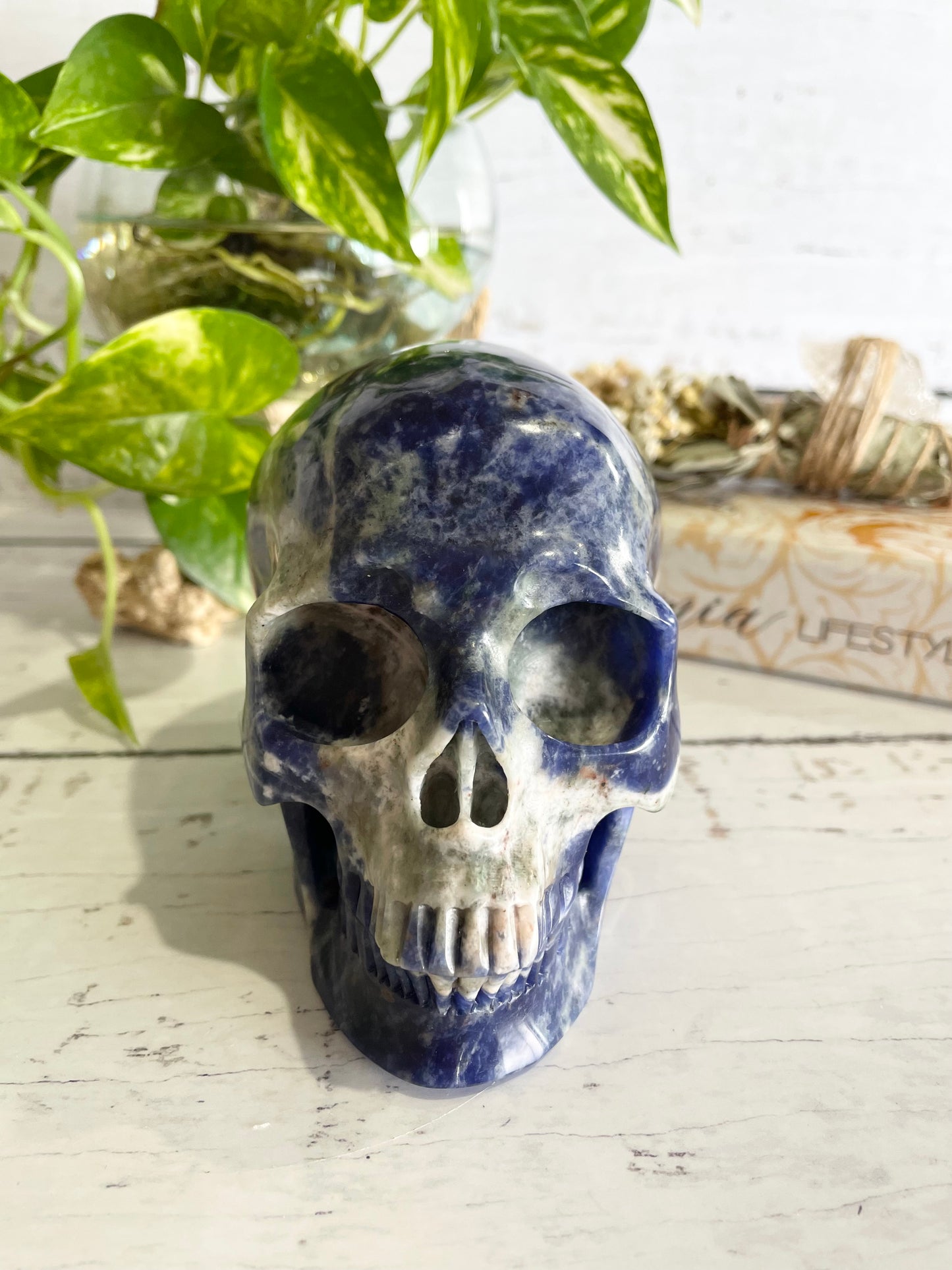 Sodalite Skull ~ 1.1kgs