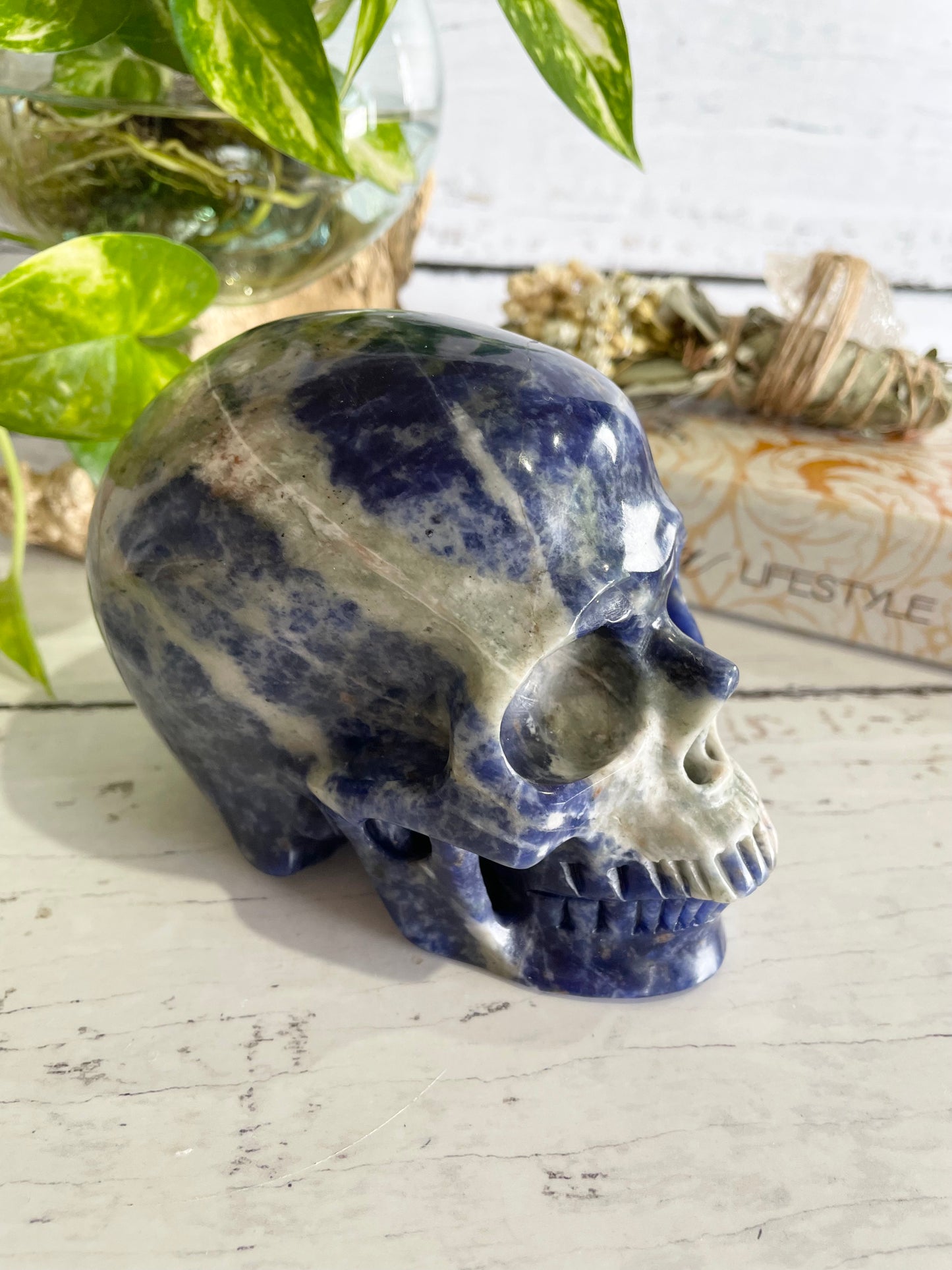 Sodalite Skull ~ 1.1kgs