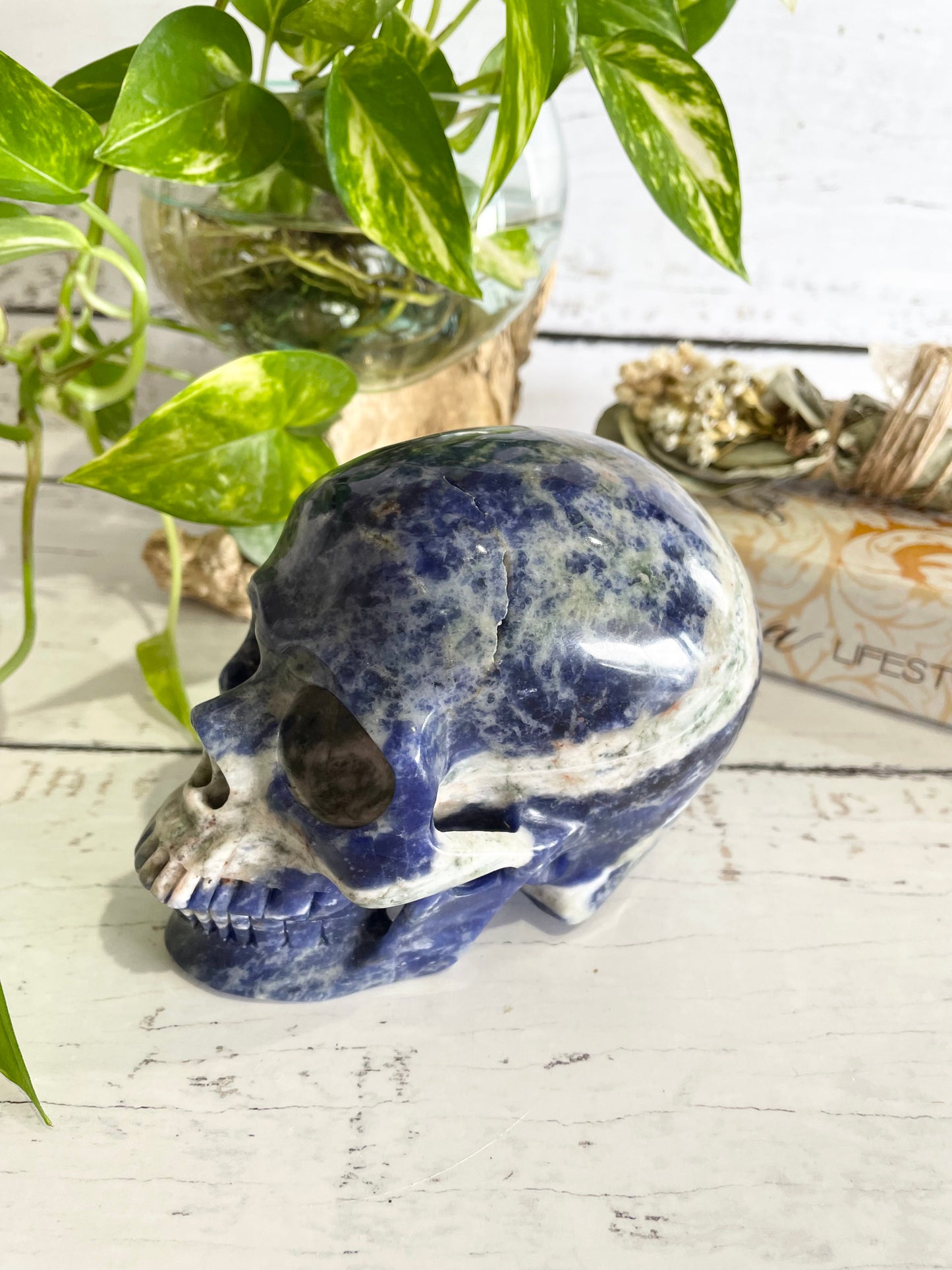 Sodalite Skull ~ 1.1kgs