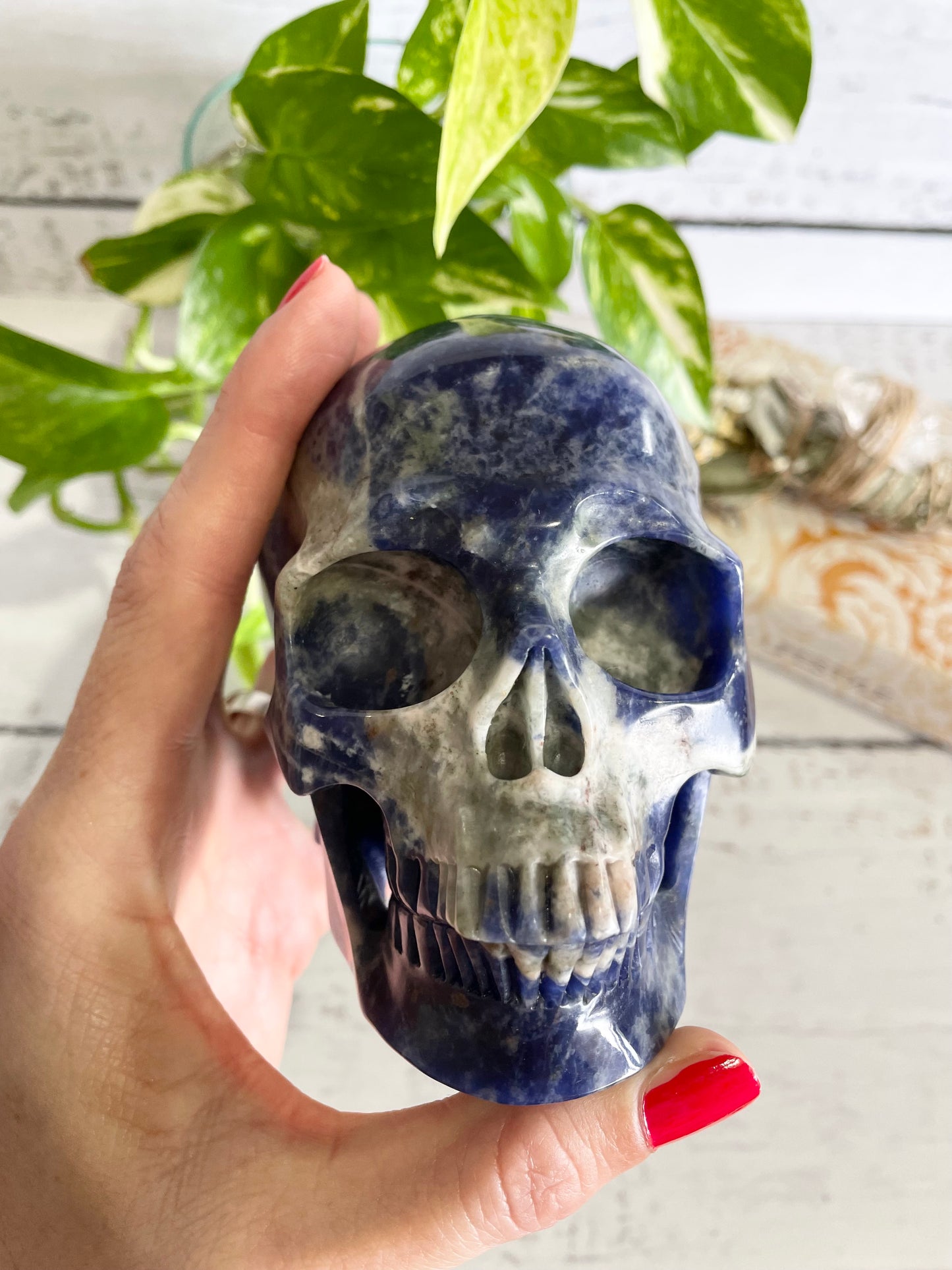 Sodalite Skull ~ 1.1kgs