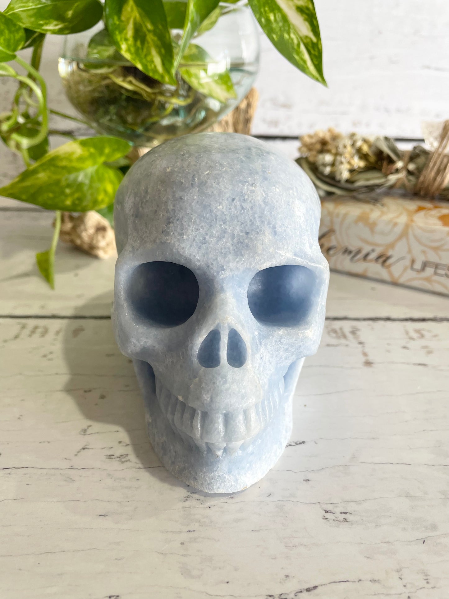 Blue Calcite Skull ~ 1.3kgs