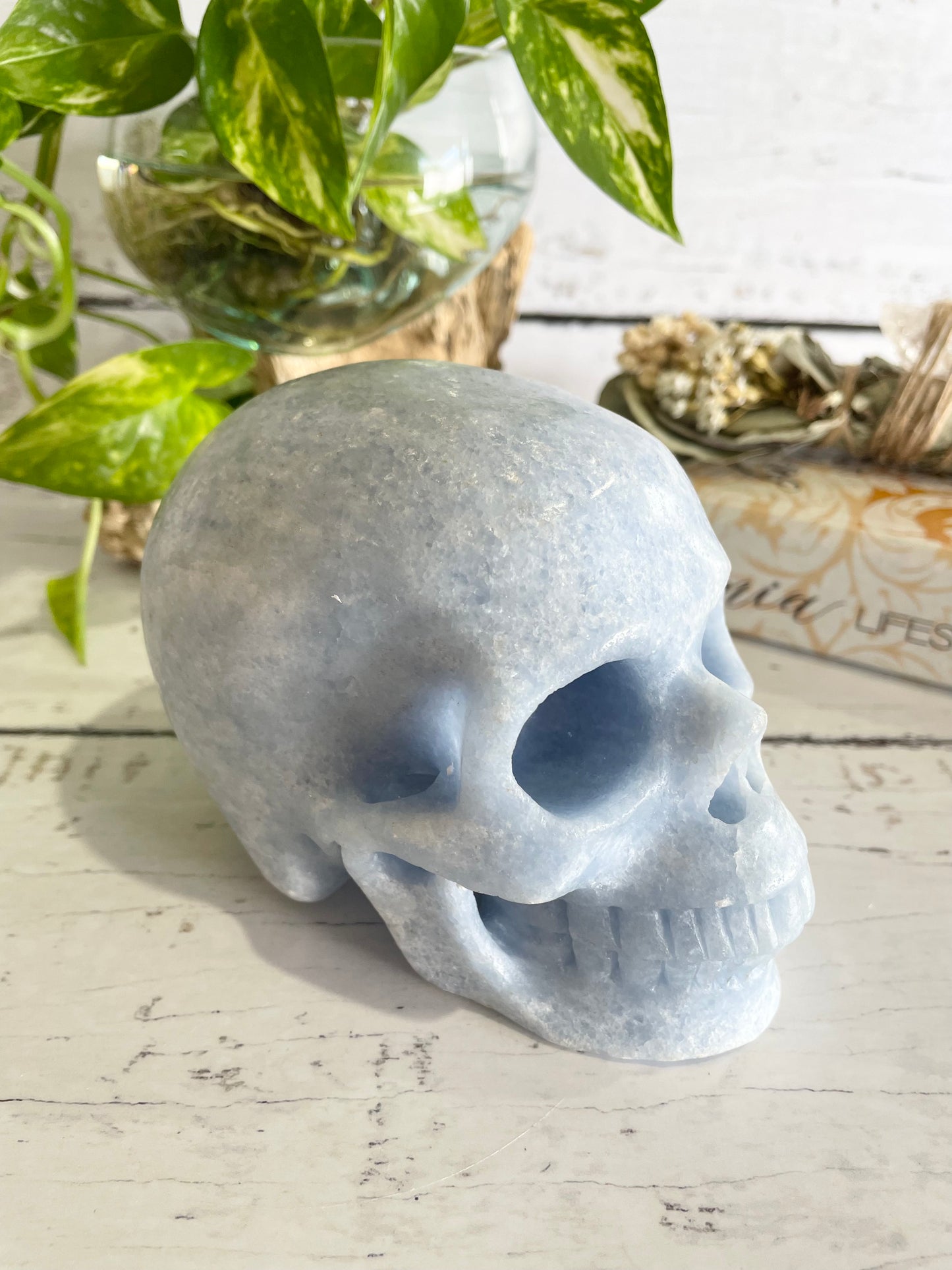 Blue Calcite Skull ~ 1.3kgs