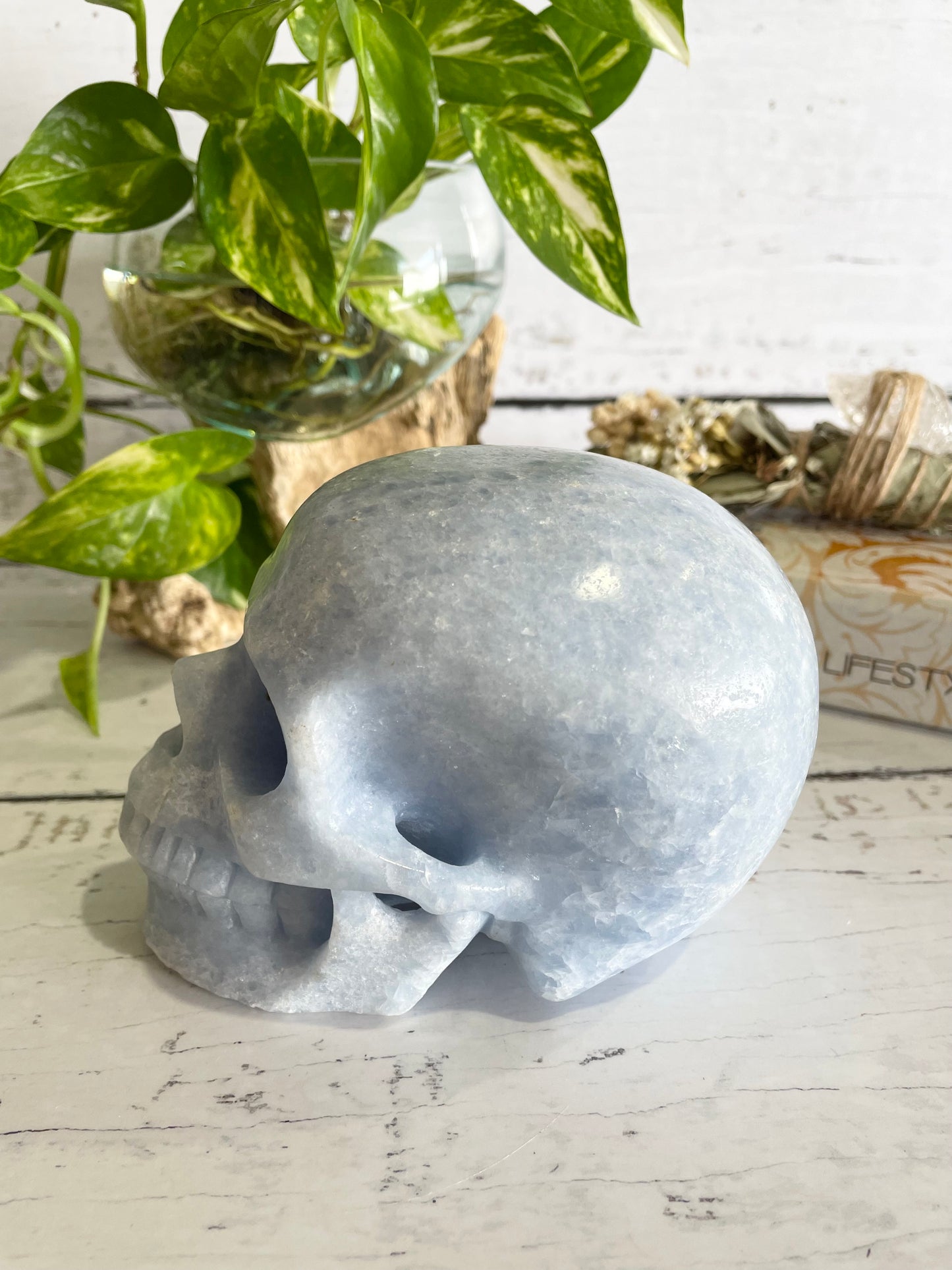 Blue Calcite Skull ~ 1.3kgs