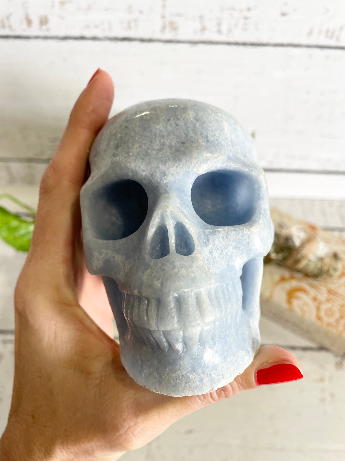 Blue Calcite Skull ~ 1.3kgs