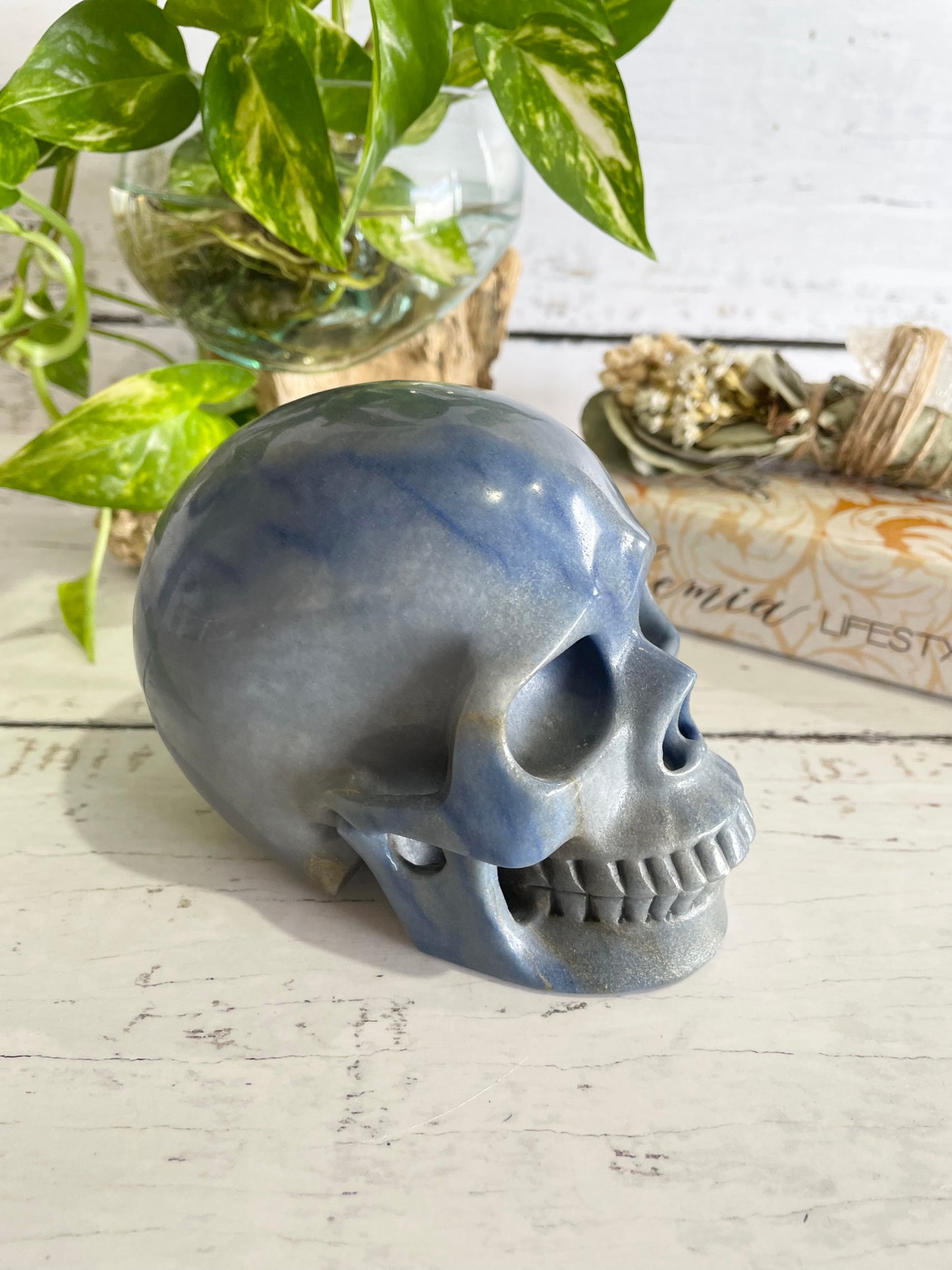 Blue Quartz Skull ~ 1.3kgs