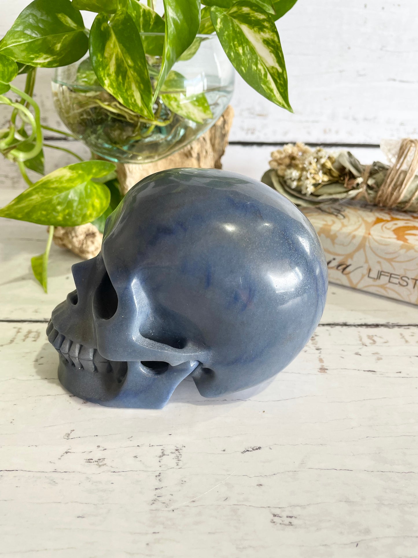 Blue Quartz Skull ~ 1.3kgs