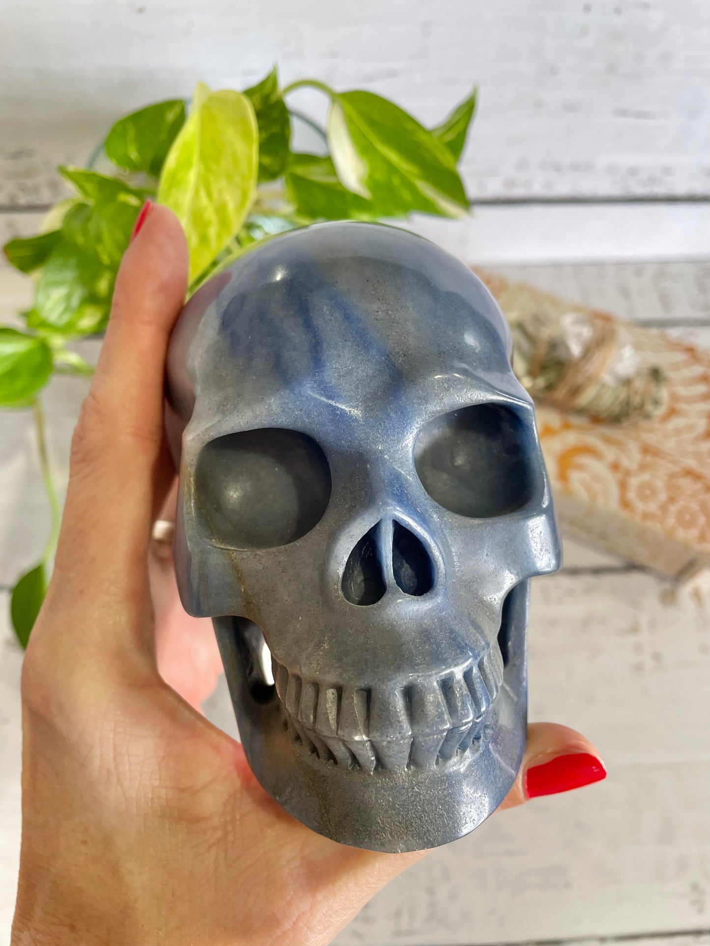 Blue Quartz Skull ~ 1.3kgs