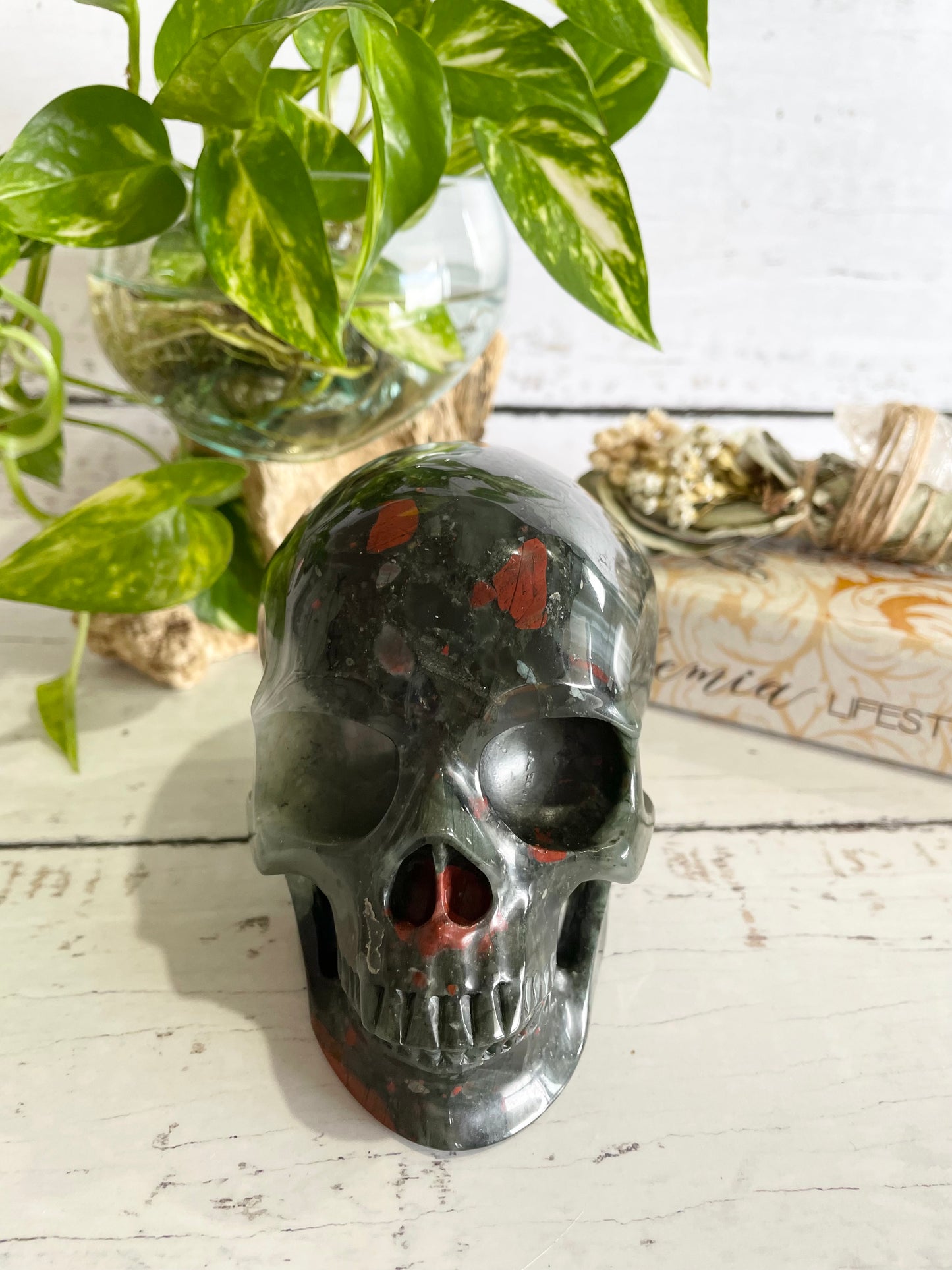 African Bloodstone Skull ~ 1.3kgs