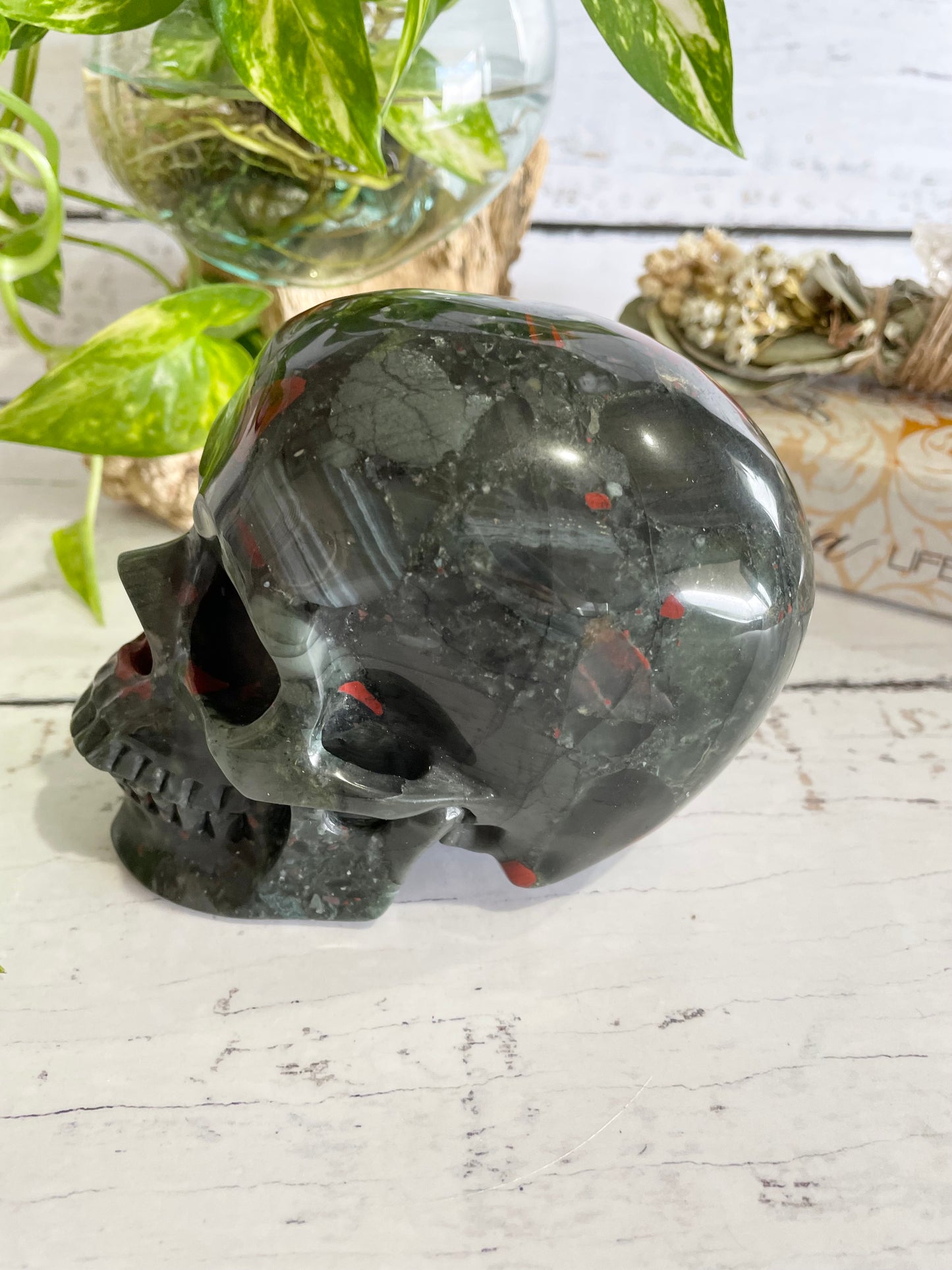 African Bloodstone Skull ~ 1.3kgs