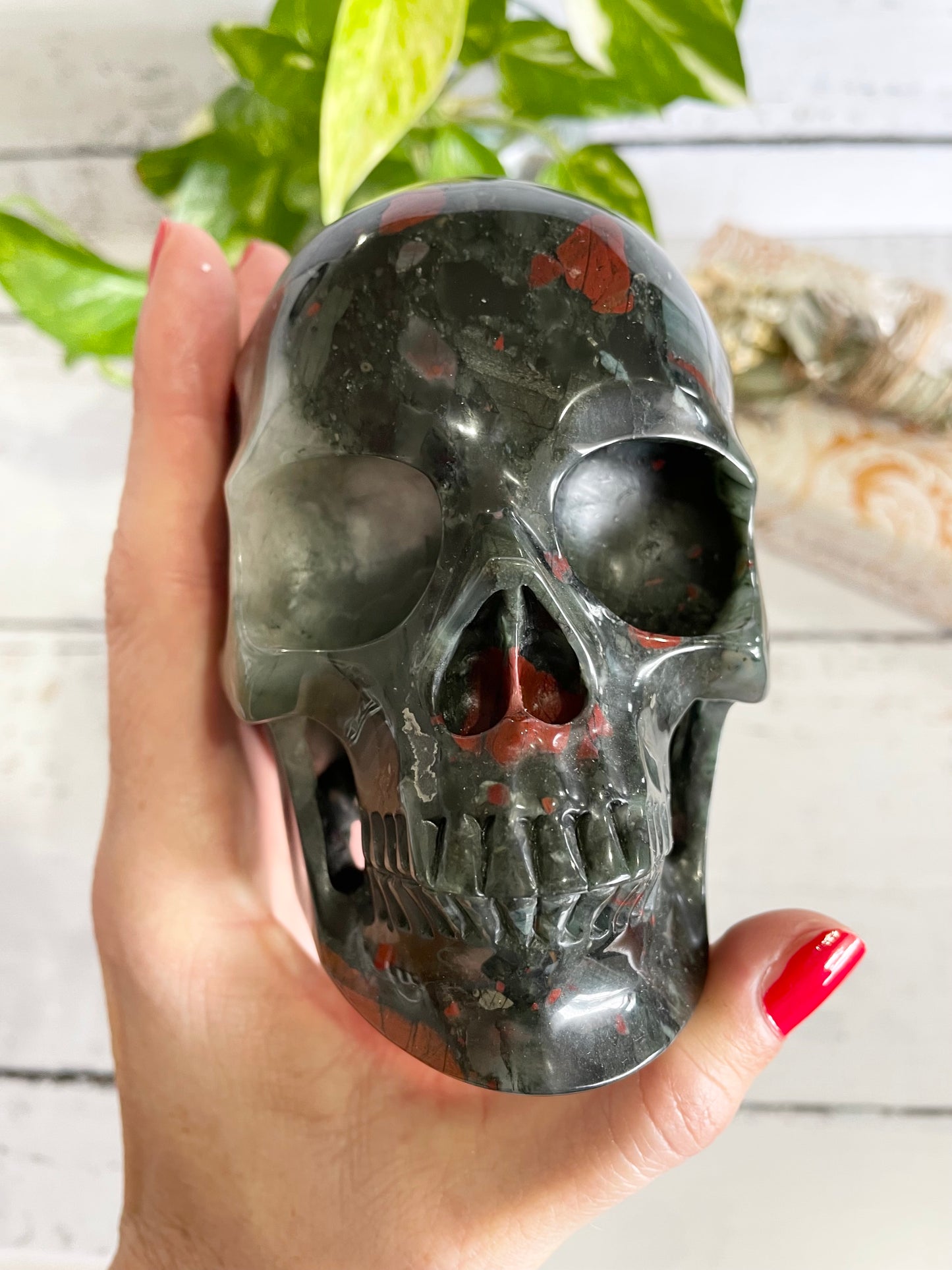 African Bloodstone Skull ~ 1.3kgs