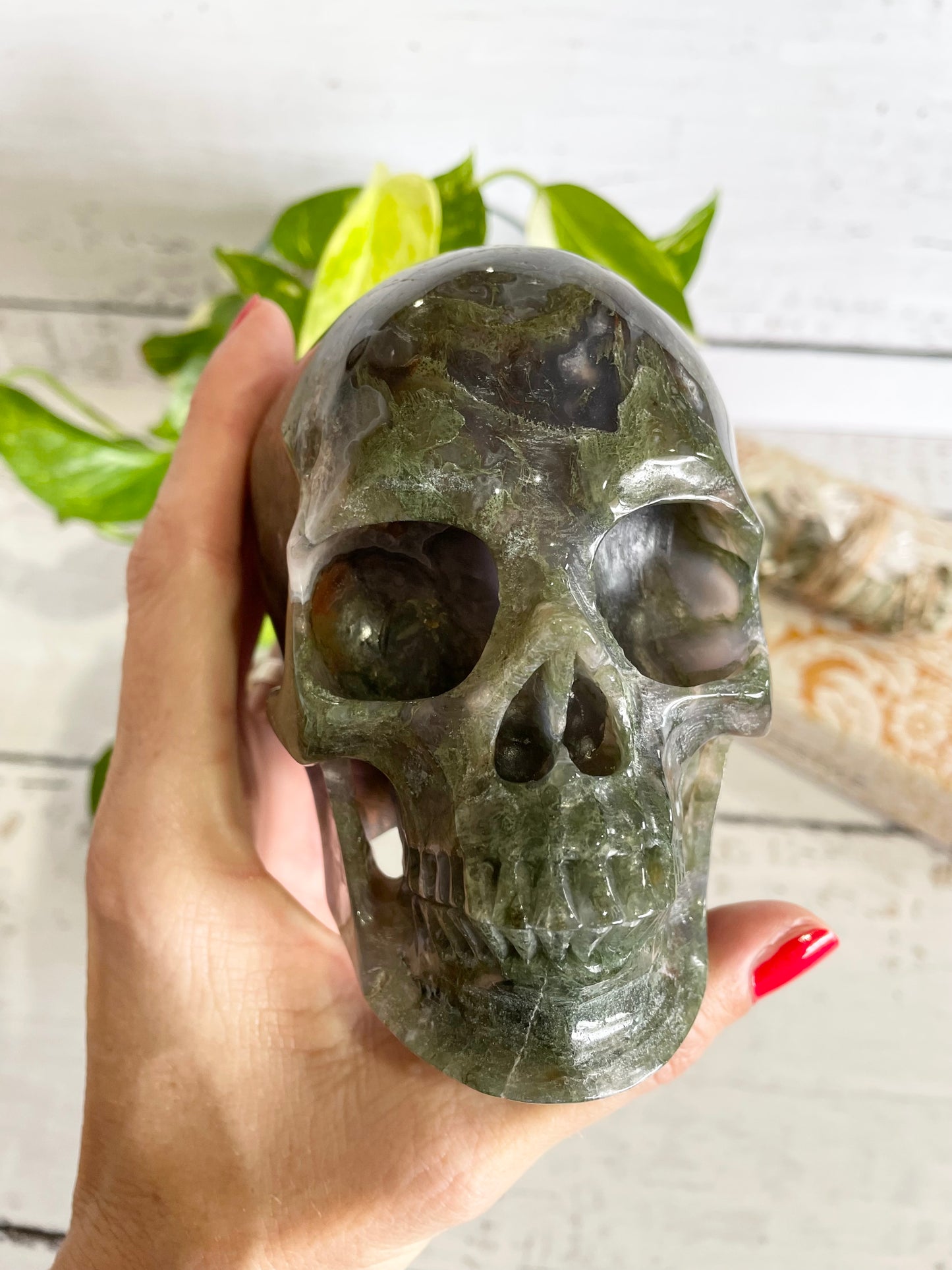 Dragons Blood Jasper Skull ~ 1.5kgs