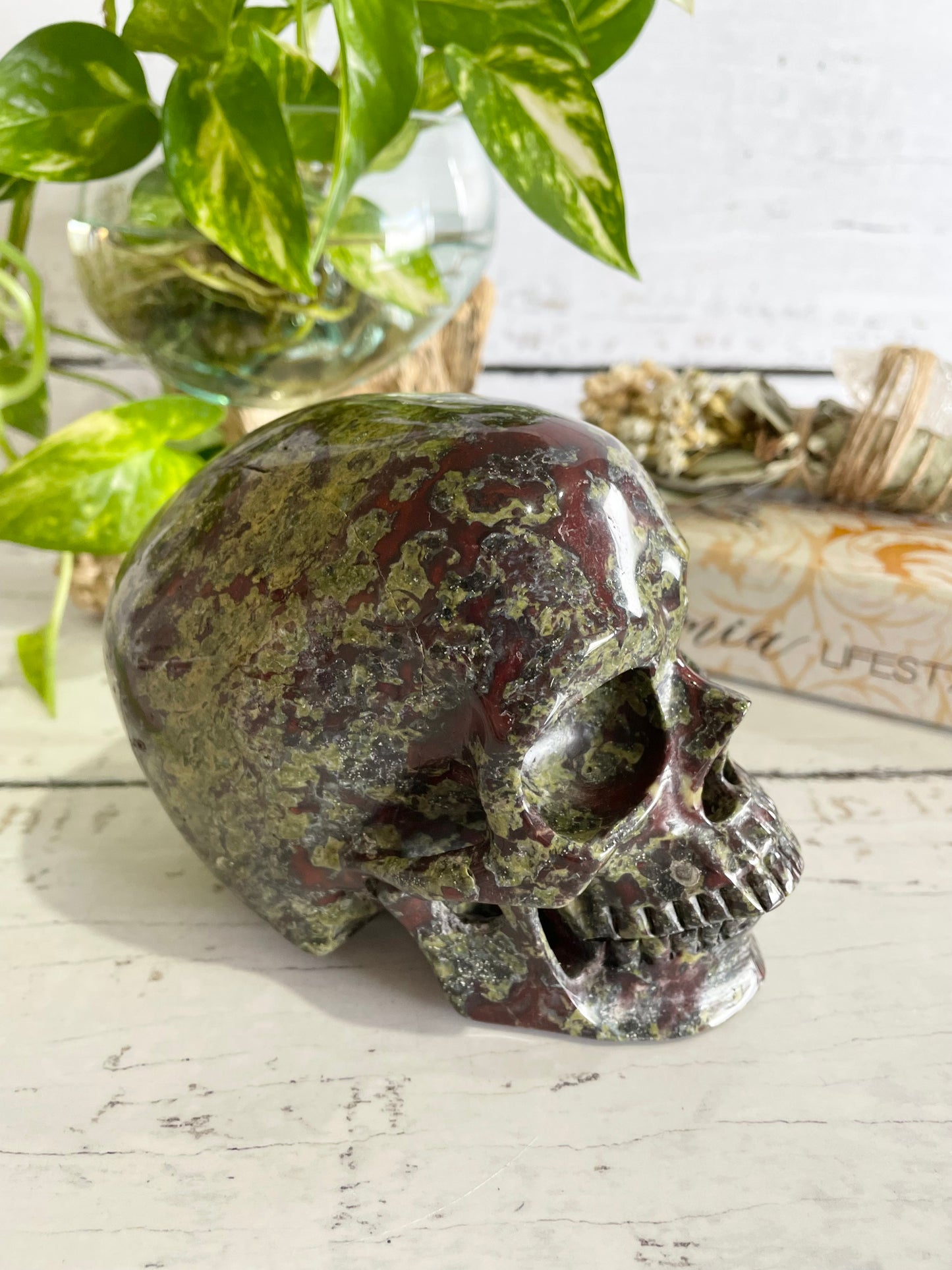 Dragons Blood Jasper Skull ~ 1.5kgs