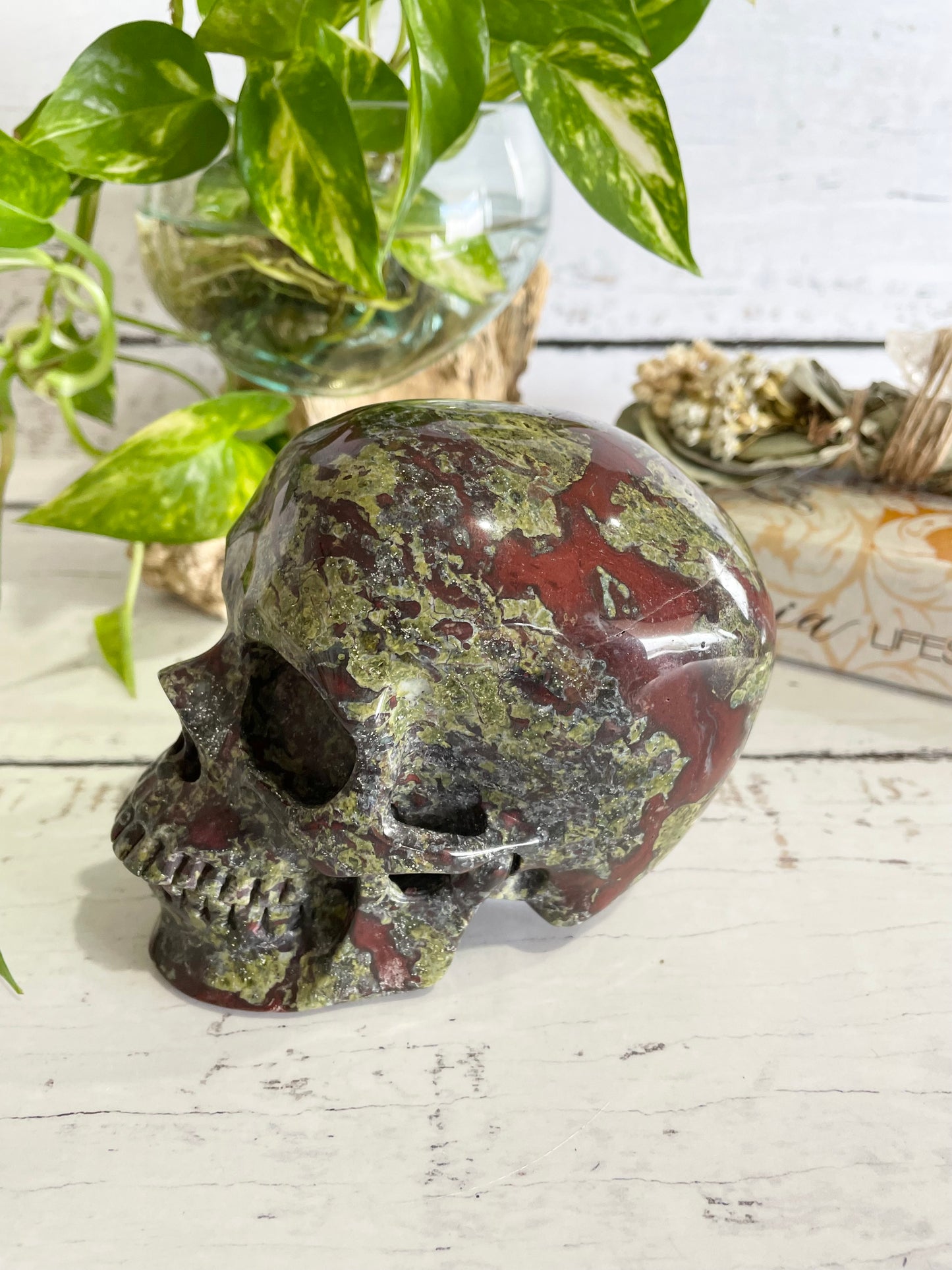 Dragons Blood Jasper Skull ~ 1.5kgs