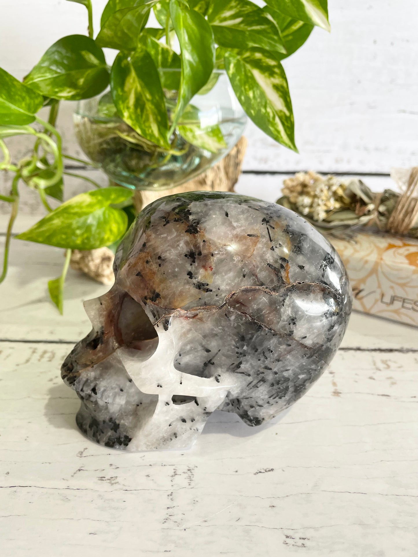 Tourmaline in Quartz Skull ~ 1.3kgs