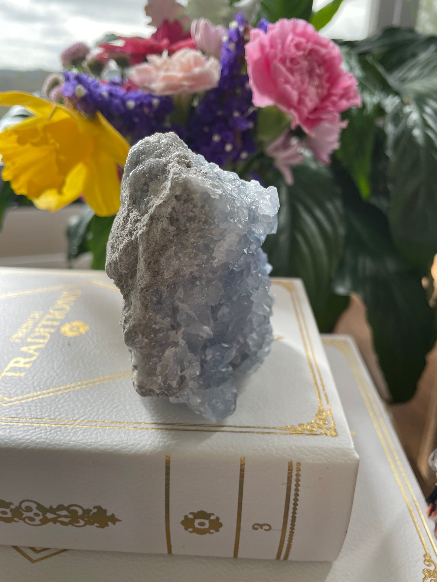 Celestite Cluster