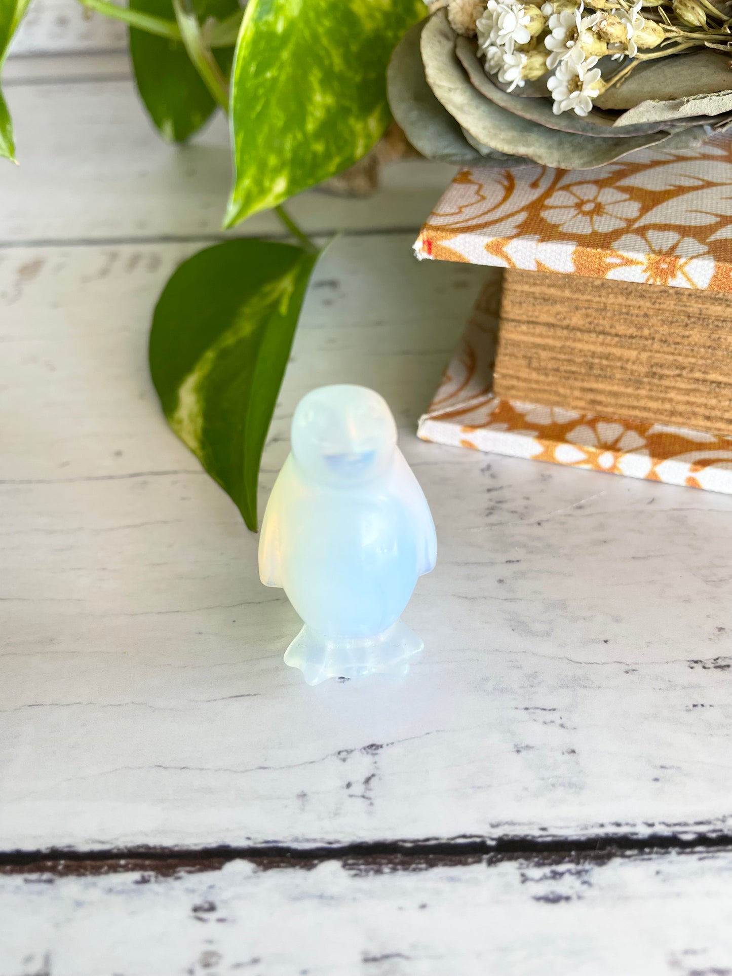 Opalite Fairy Penguin