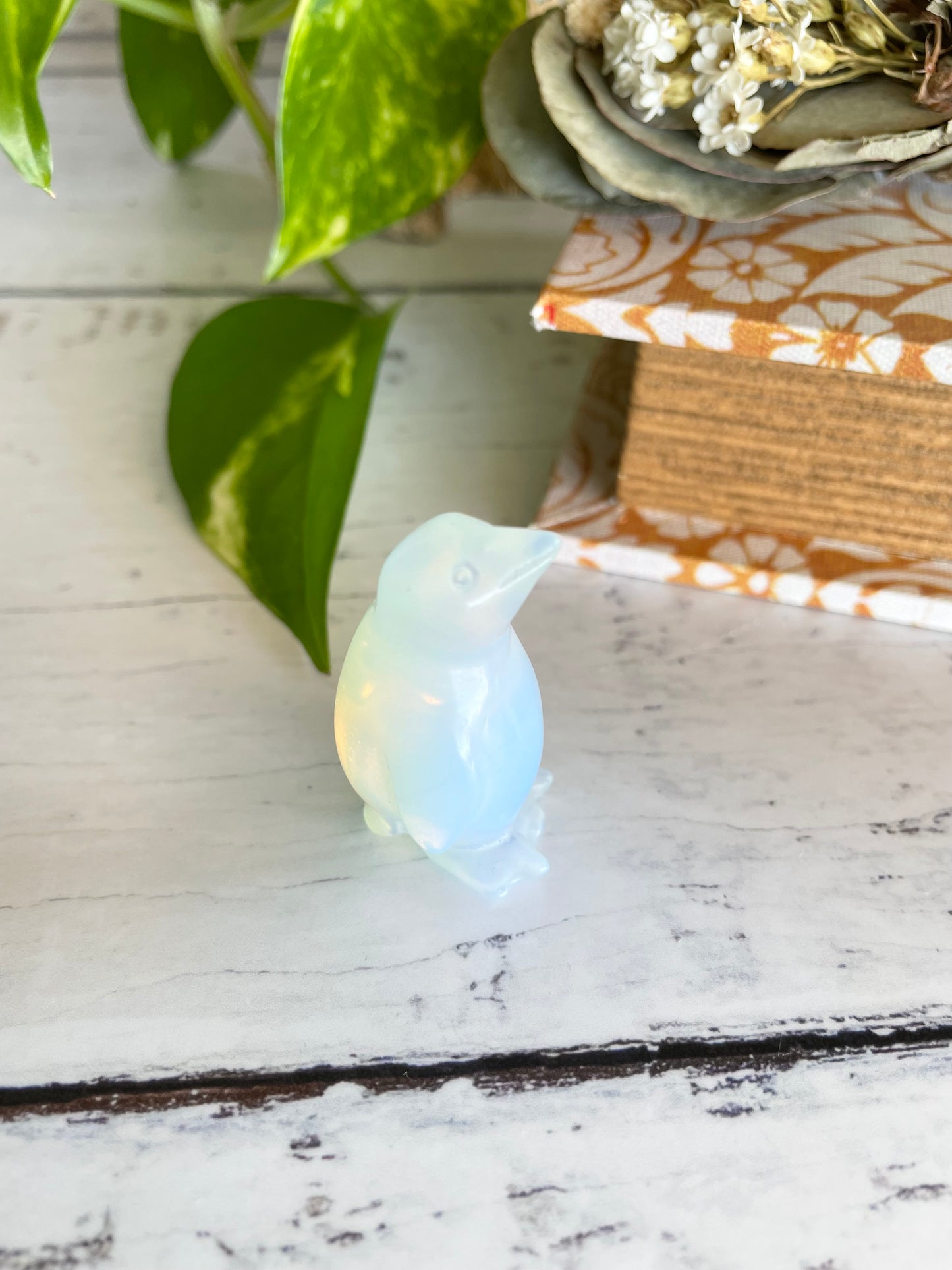 Opalite Fairy Penguin