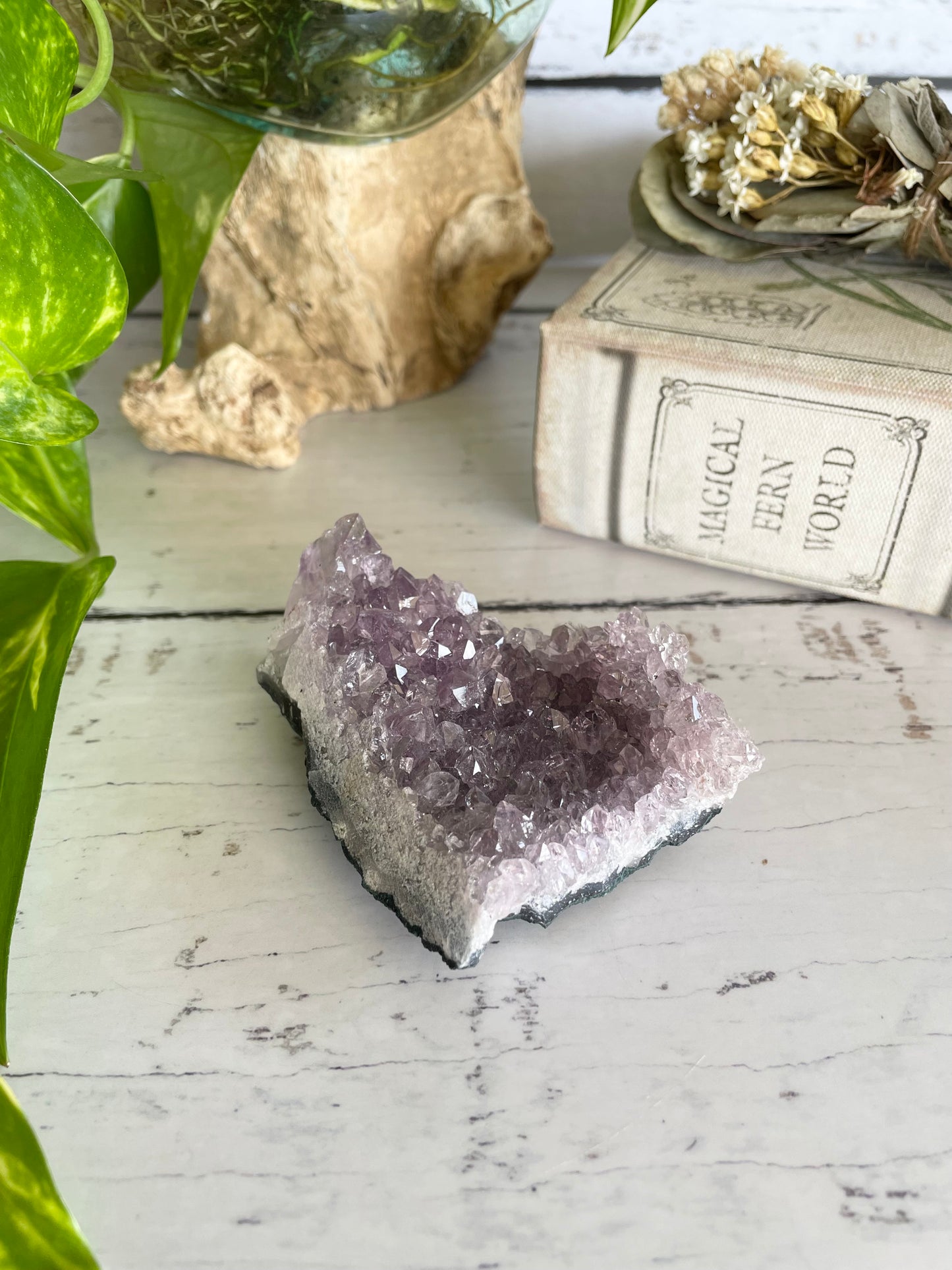 Amethyst Cluster