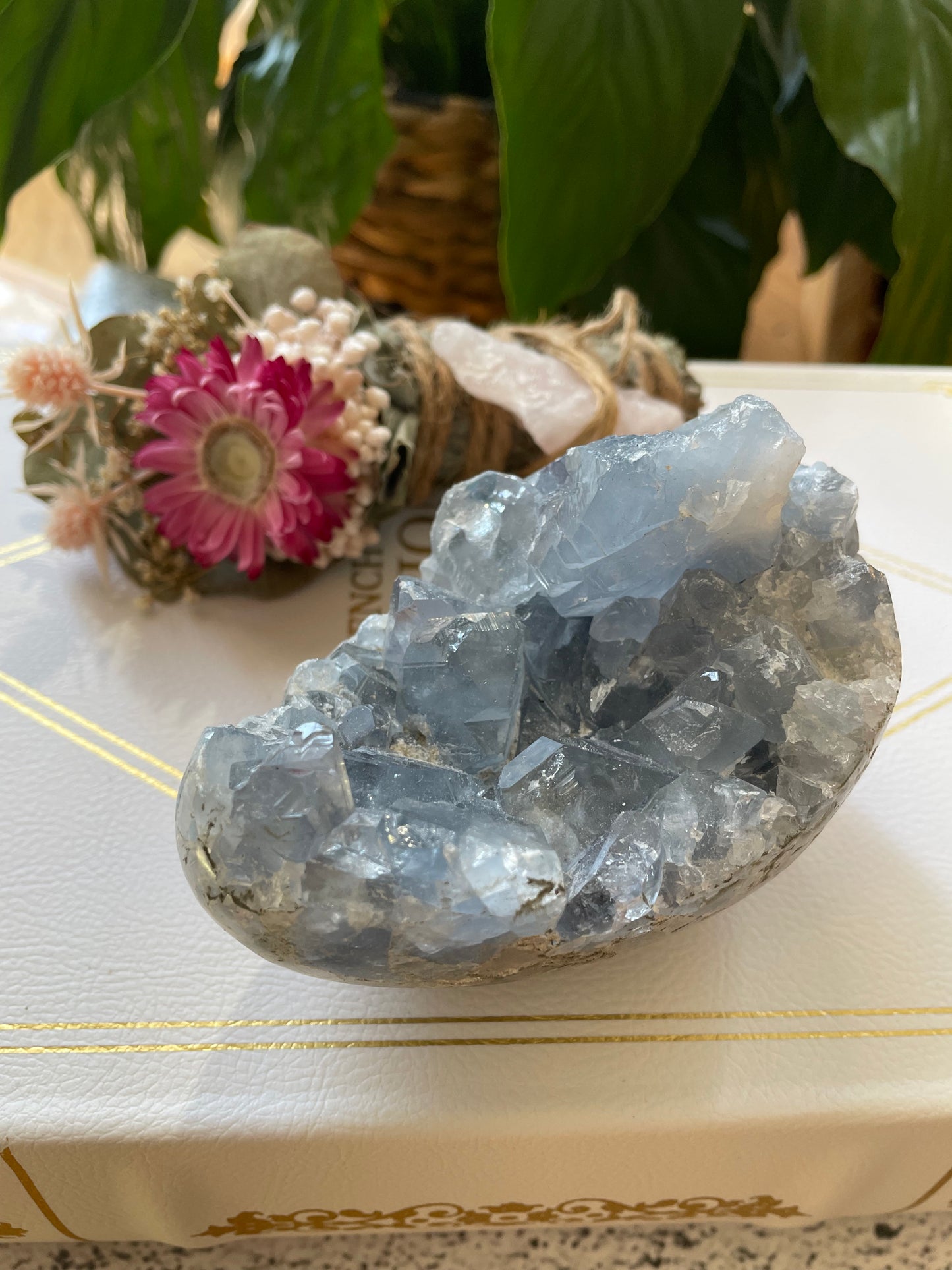 Celestite Geode Egg