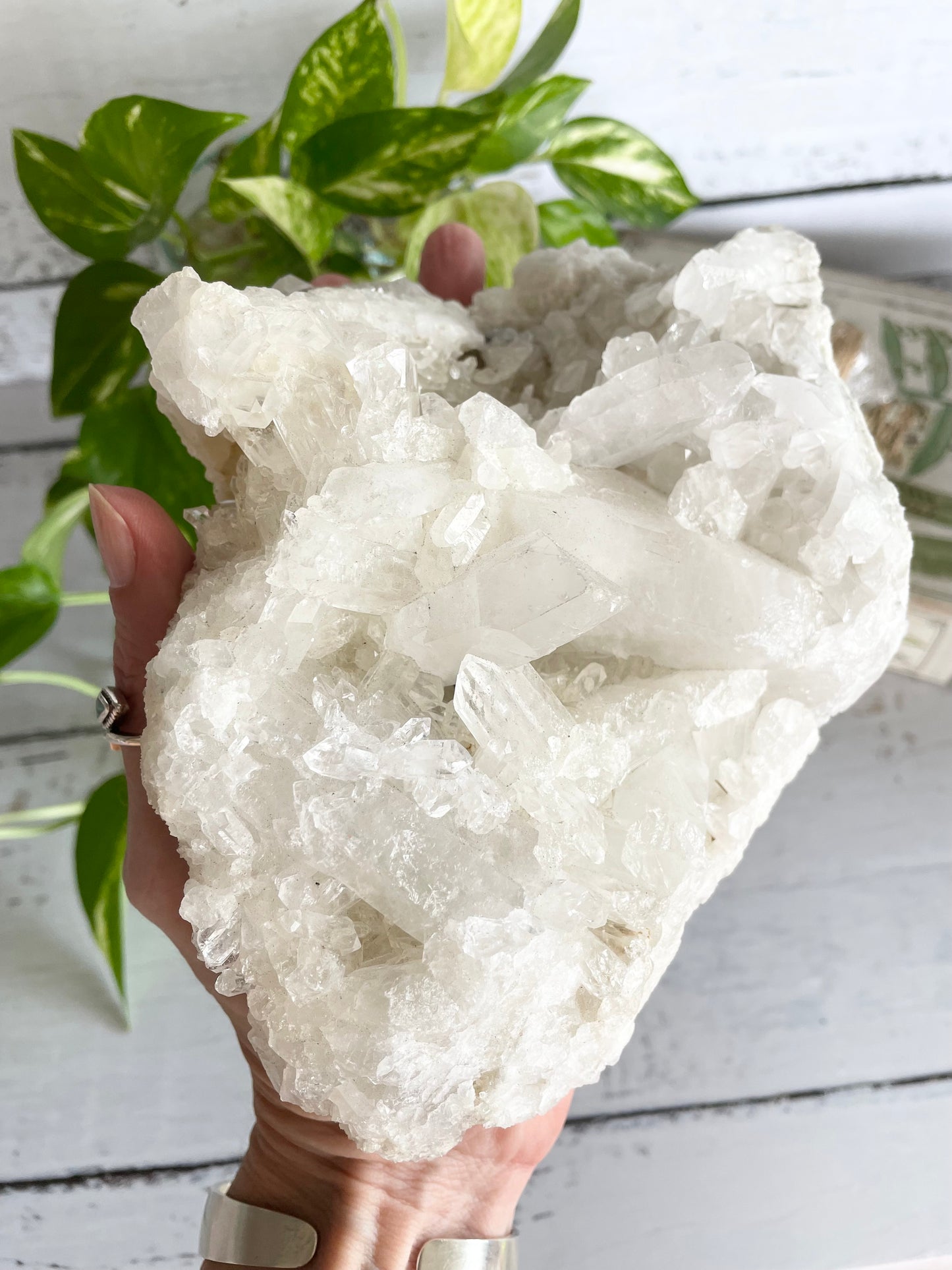 Clear Quartz Cluster ~ 1.5kgs