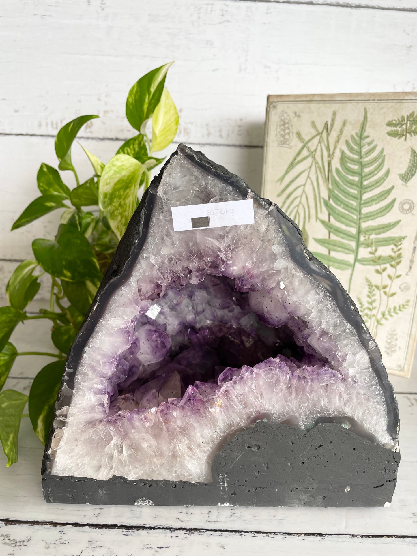 Amethyst Geode ~ 8.7kgs