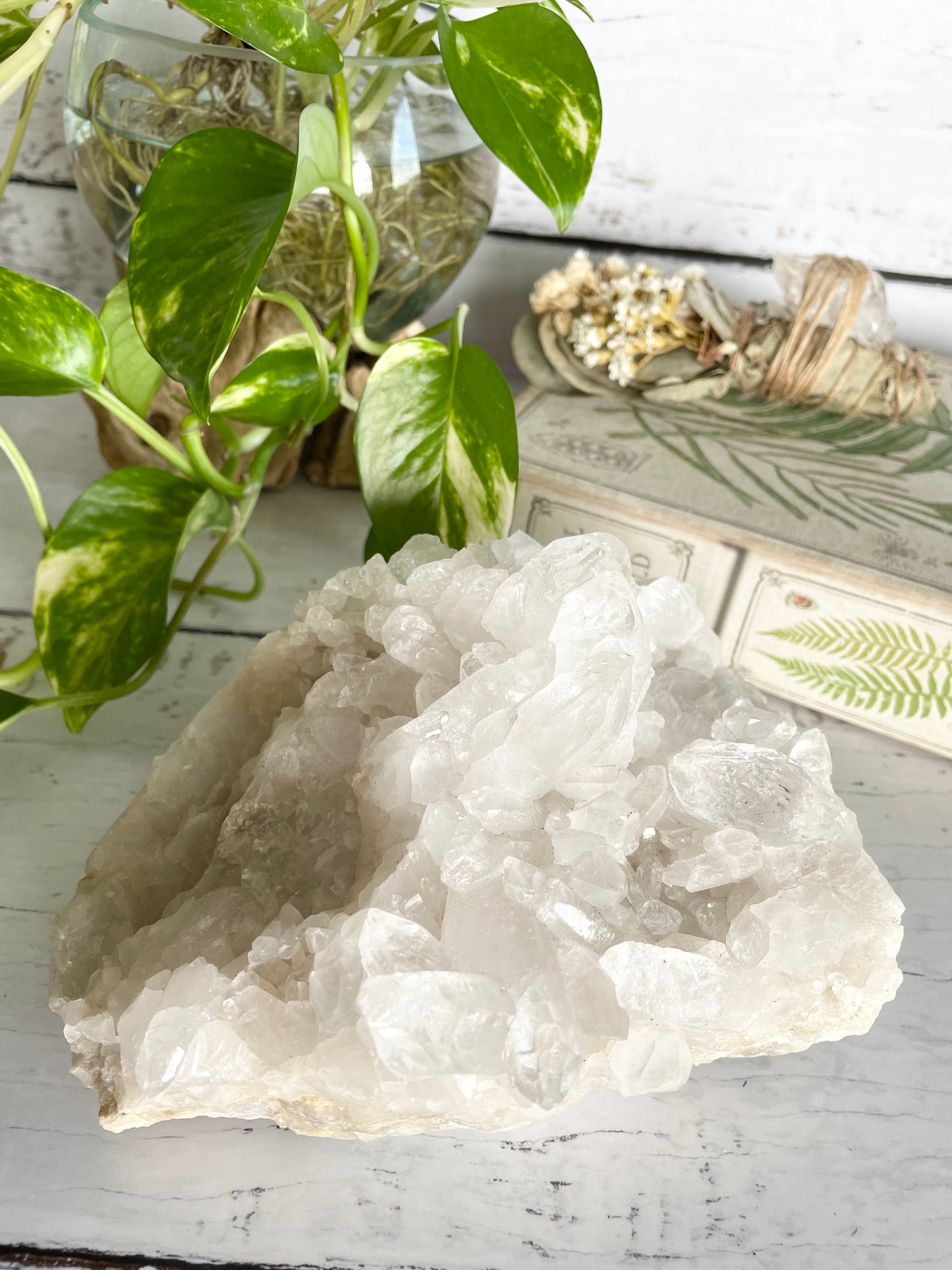 Clear Quartz Cluster ~ 1.3kgs