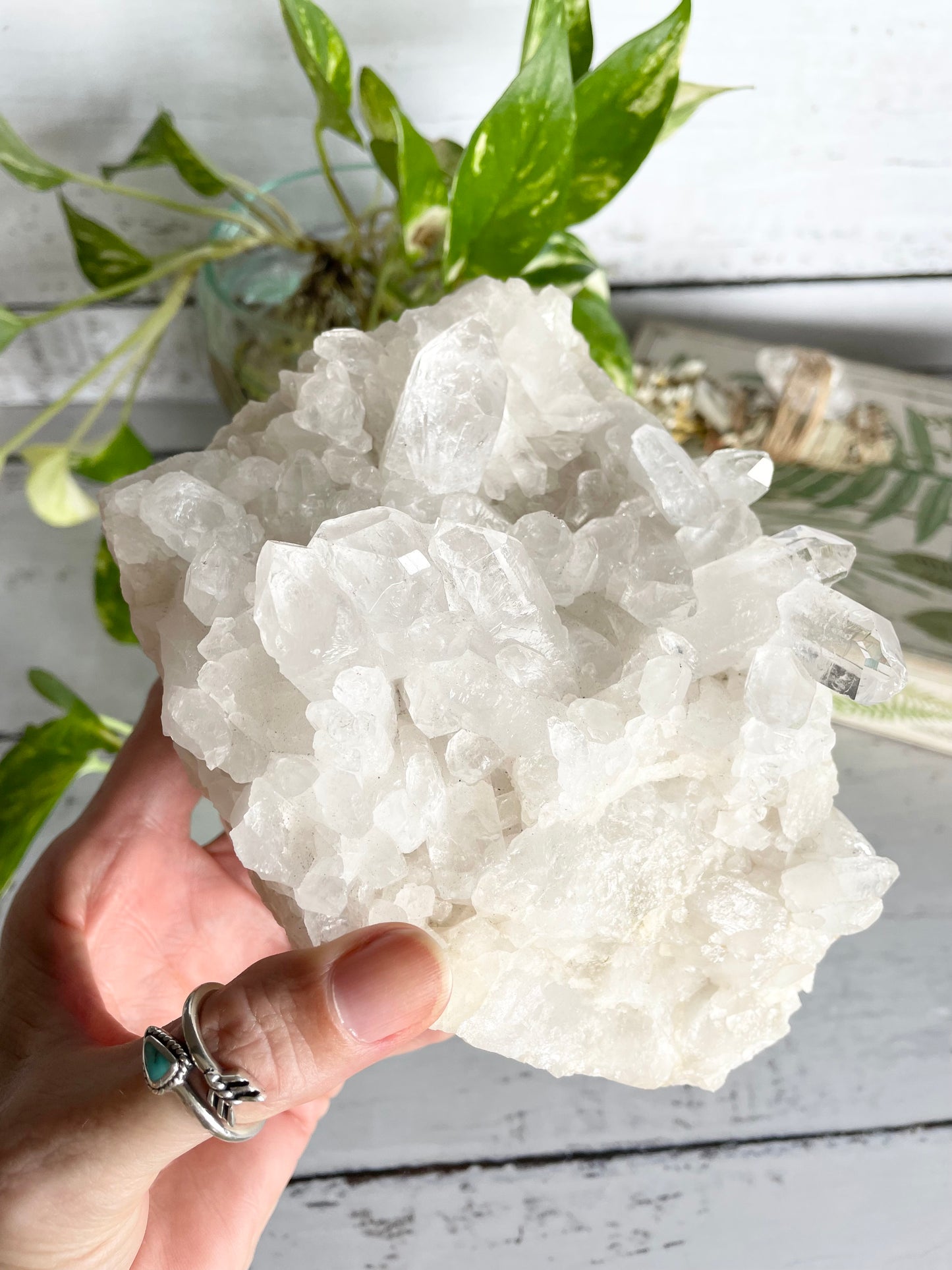 Clear Quartz Cluster ~ 1.3kgs