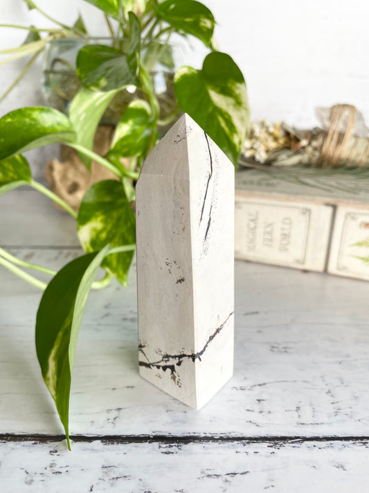 Picture Jasper Obelisk