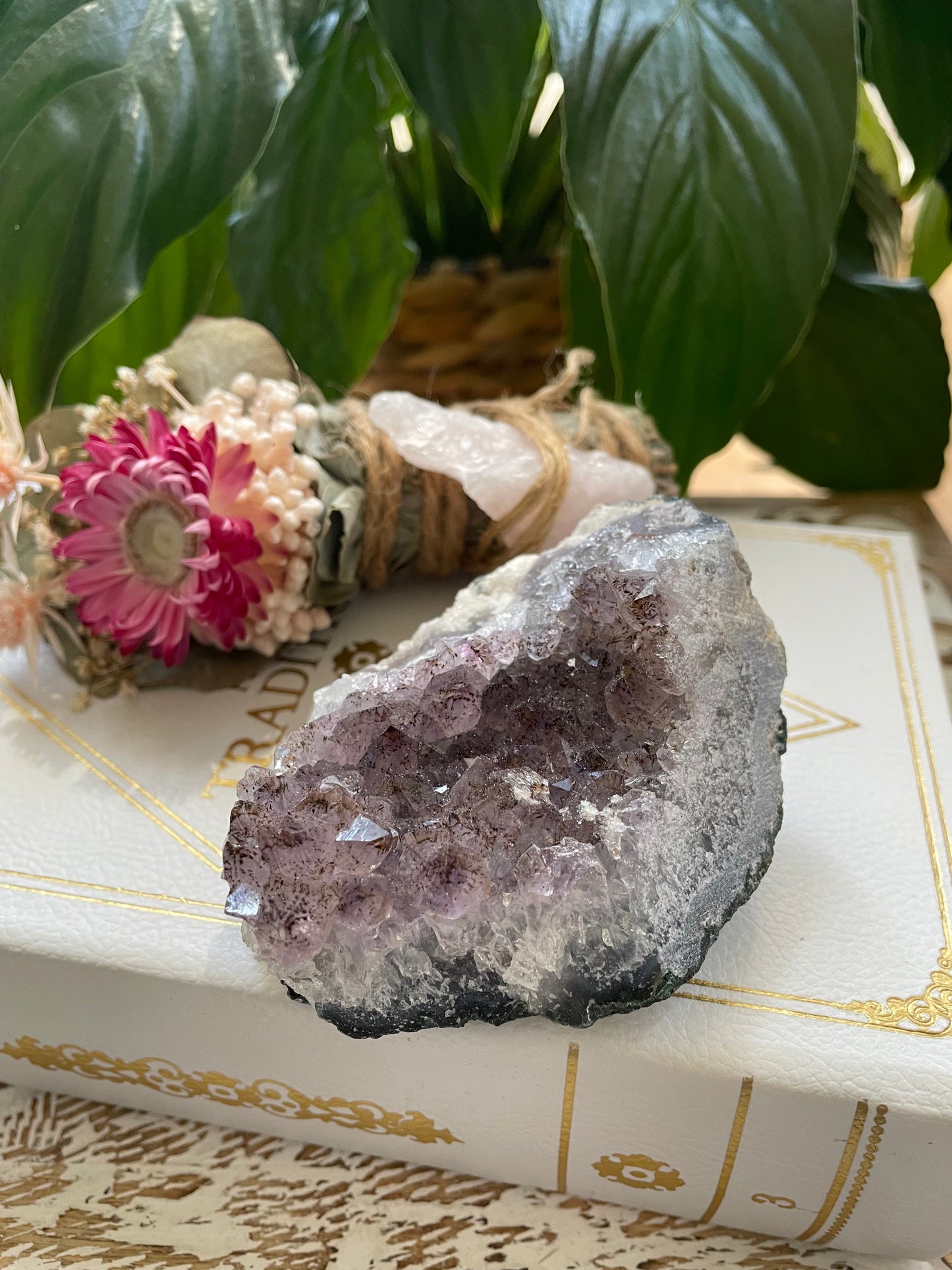 Amethyst Cluster