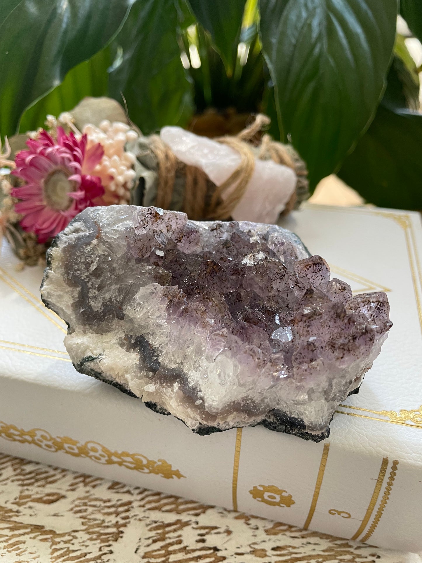 Amethyst Cluster