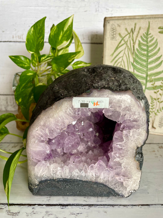 Amethyst Geode ~7.3kgs