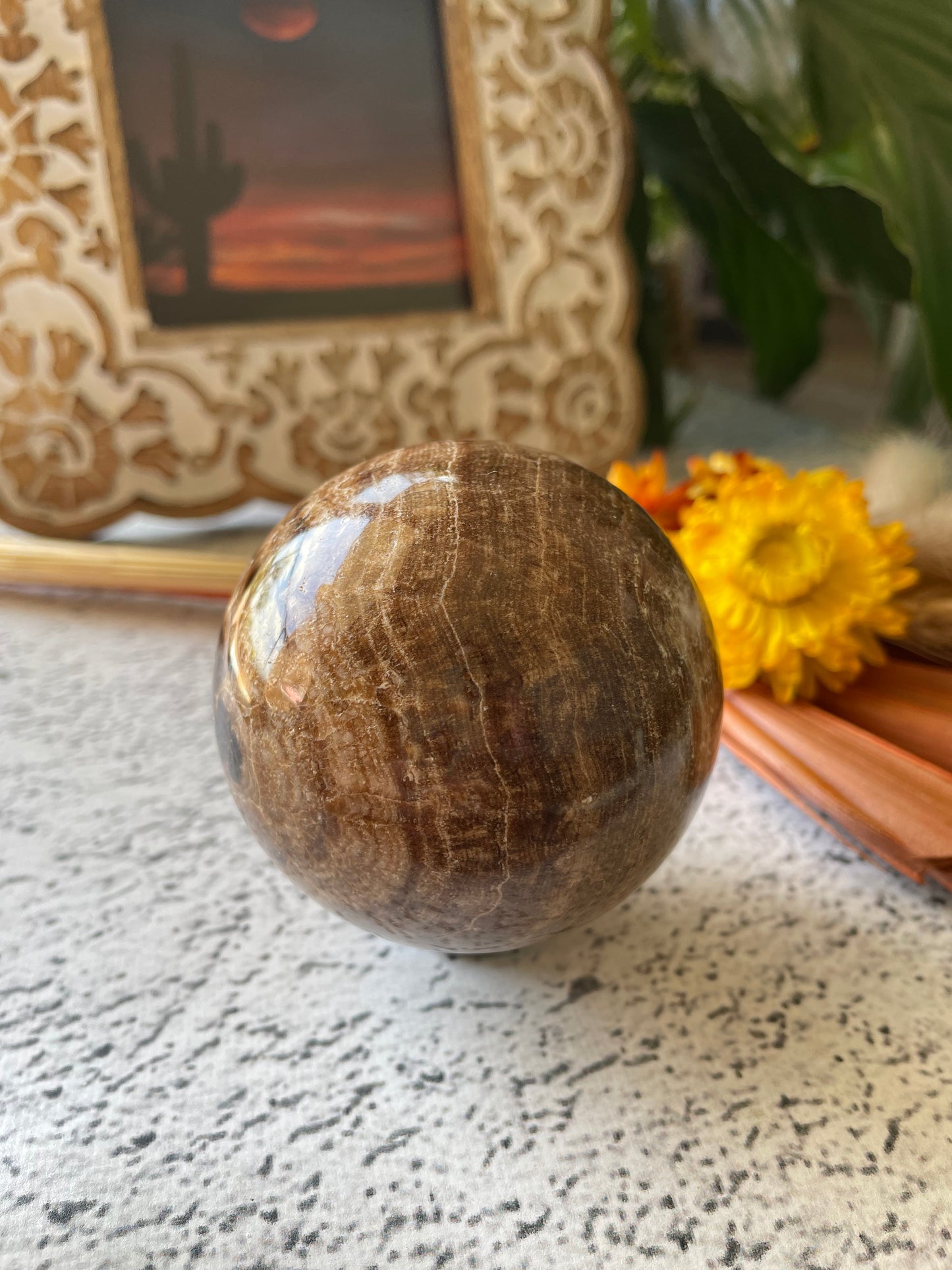 Chocolate Calcite Sphere Includes Wooden Holder