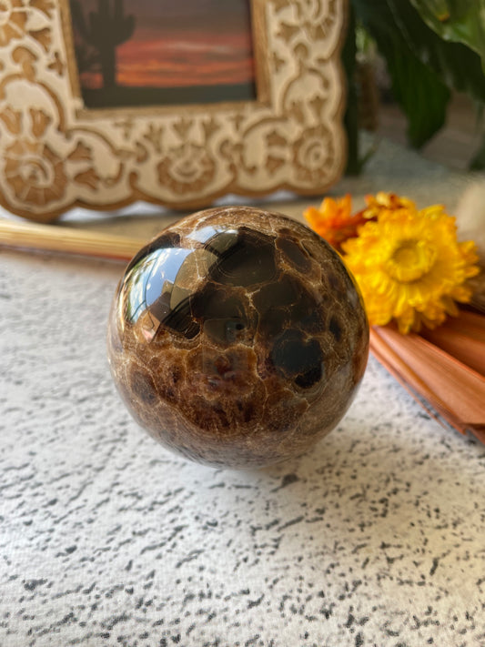 Chocolate Calcite Sphere Includes Wooden Holder