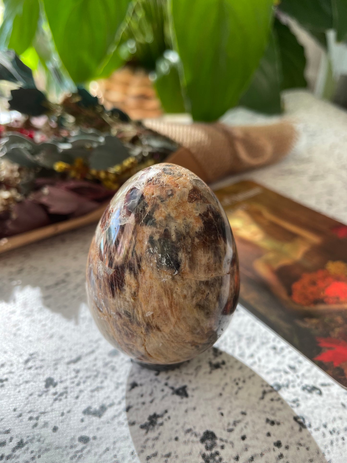 Madagascan Jasper Egg Includes Hematite Ring