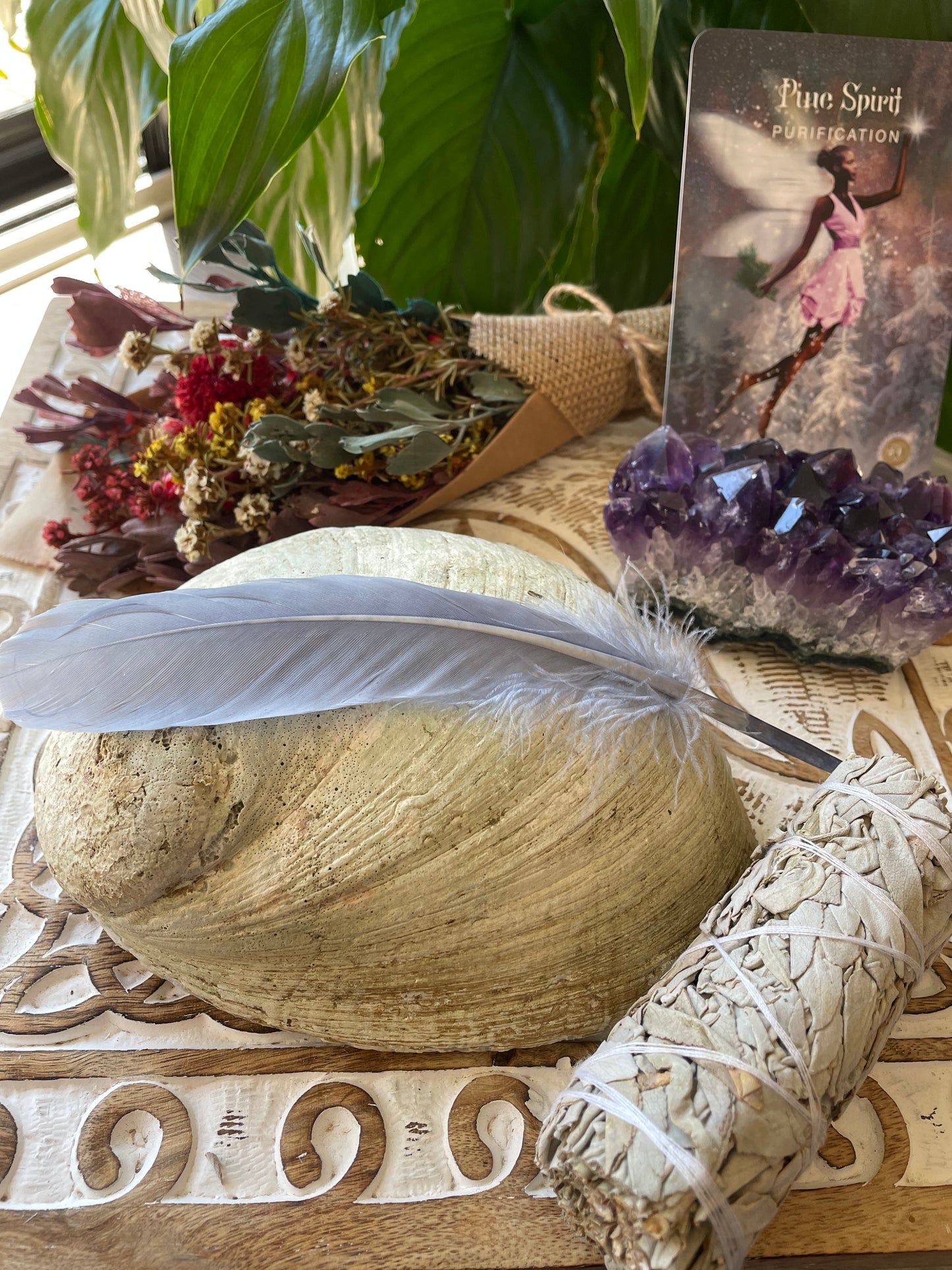 Abalone Shell Sacred White Sage  Smudge ~ Set of 3