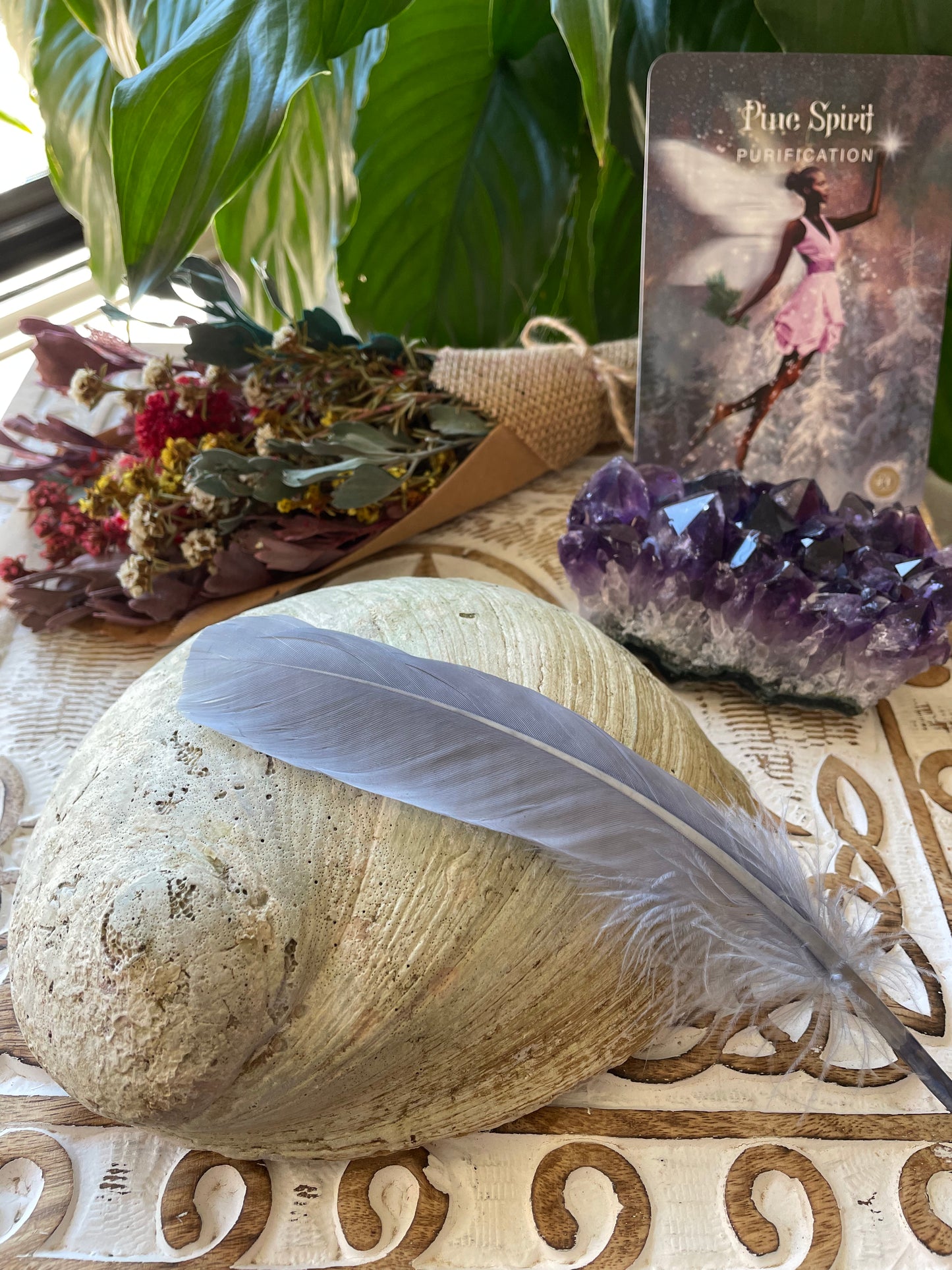 Abalone Shell with Feather ~ Set of 2