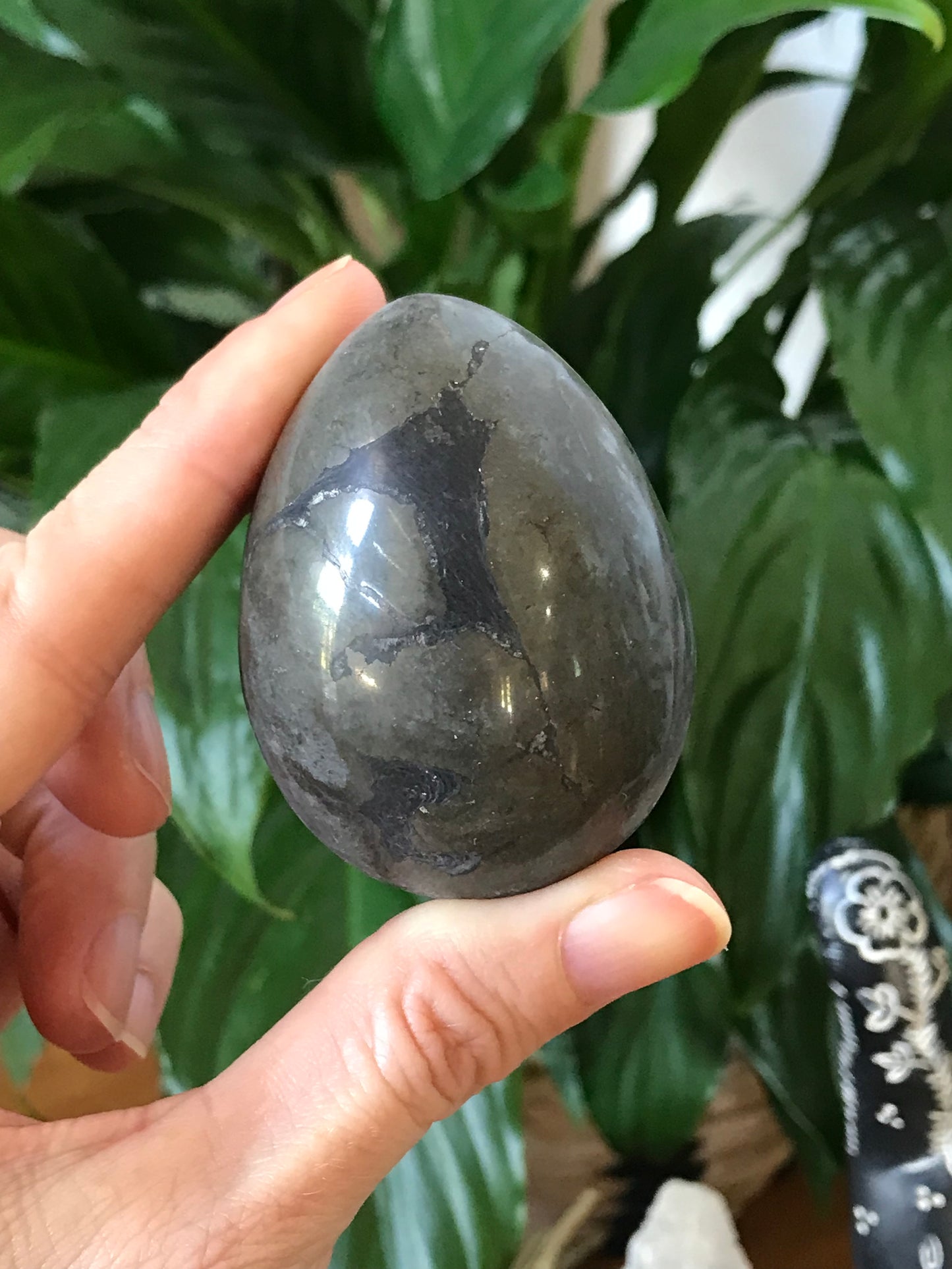 Pyrite Egg Includes Hematite Ring