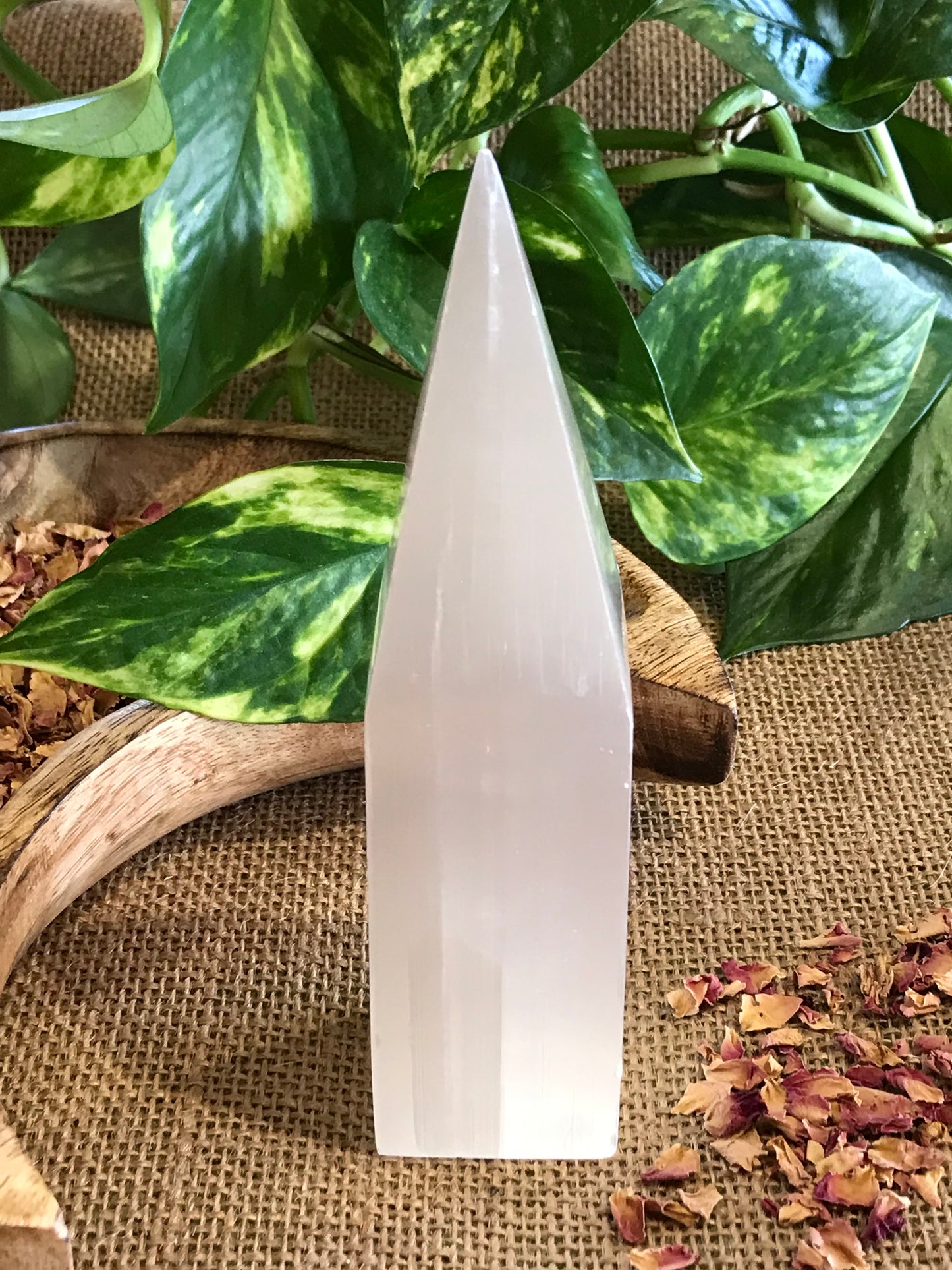 Selenite Generator