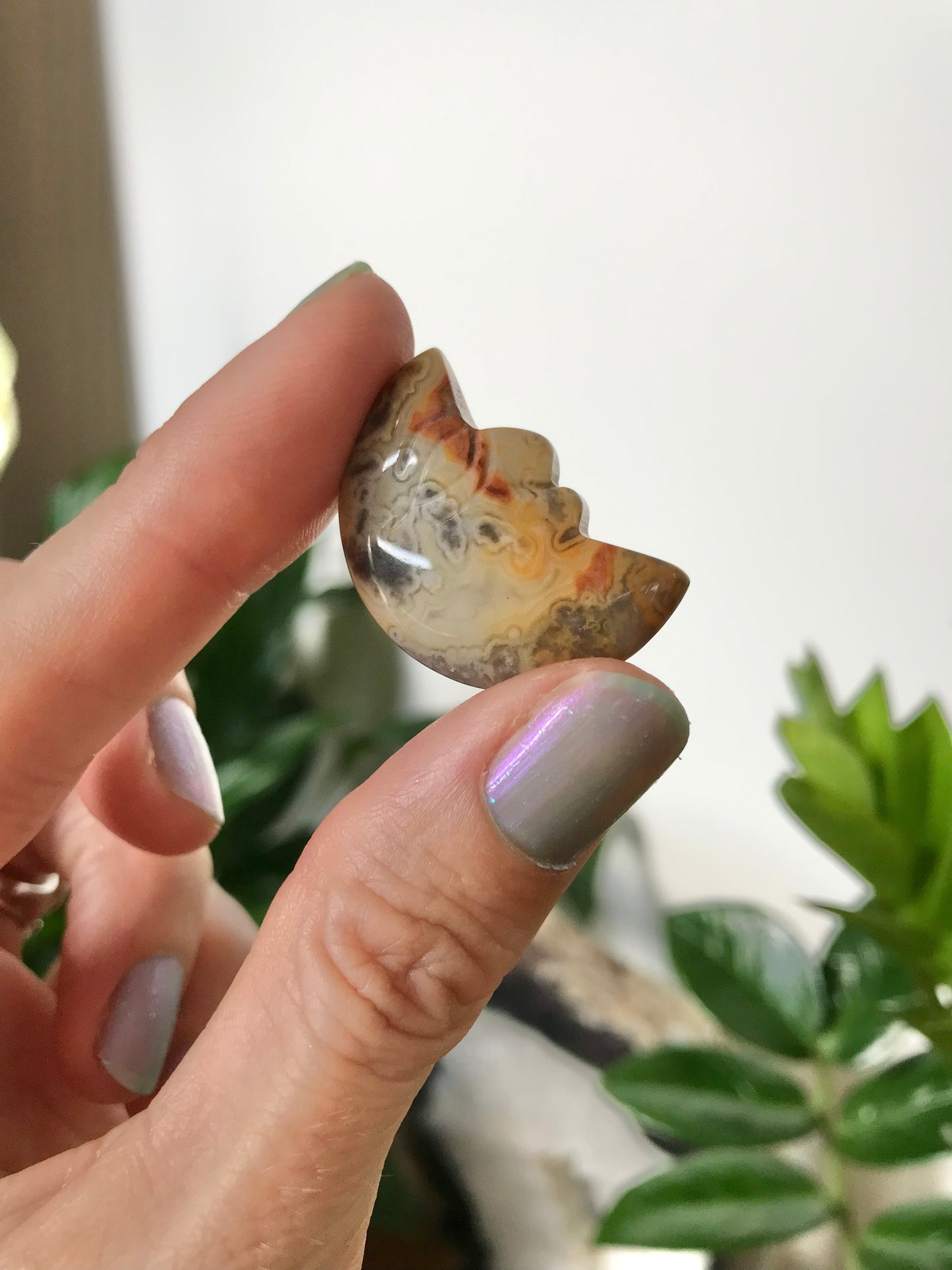 INTUITIVELY CHOSEN ~ Crazy Lace Agate Crescent Moon