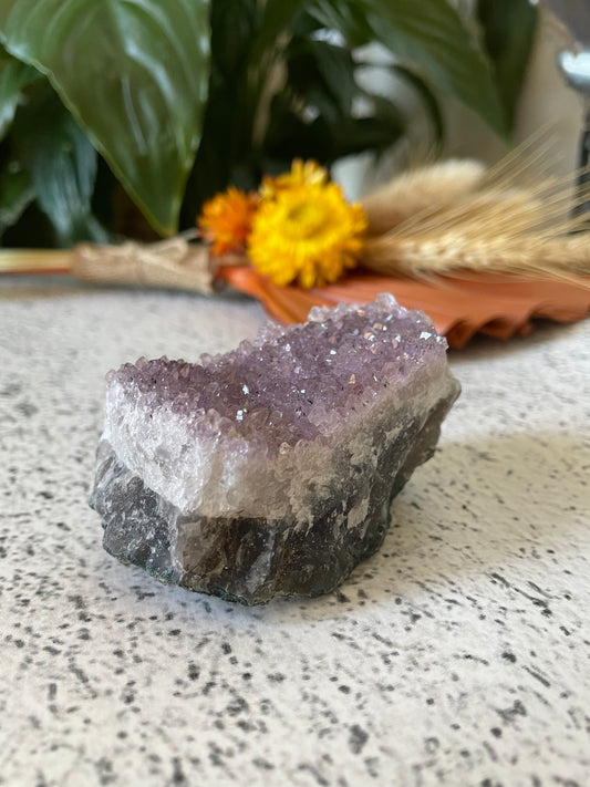 Amethyst Cluster